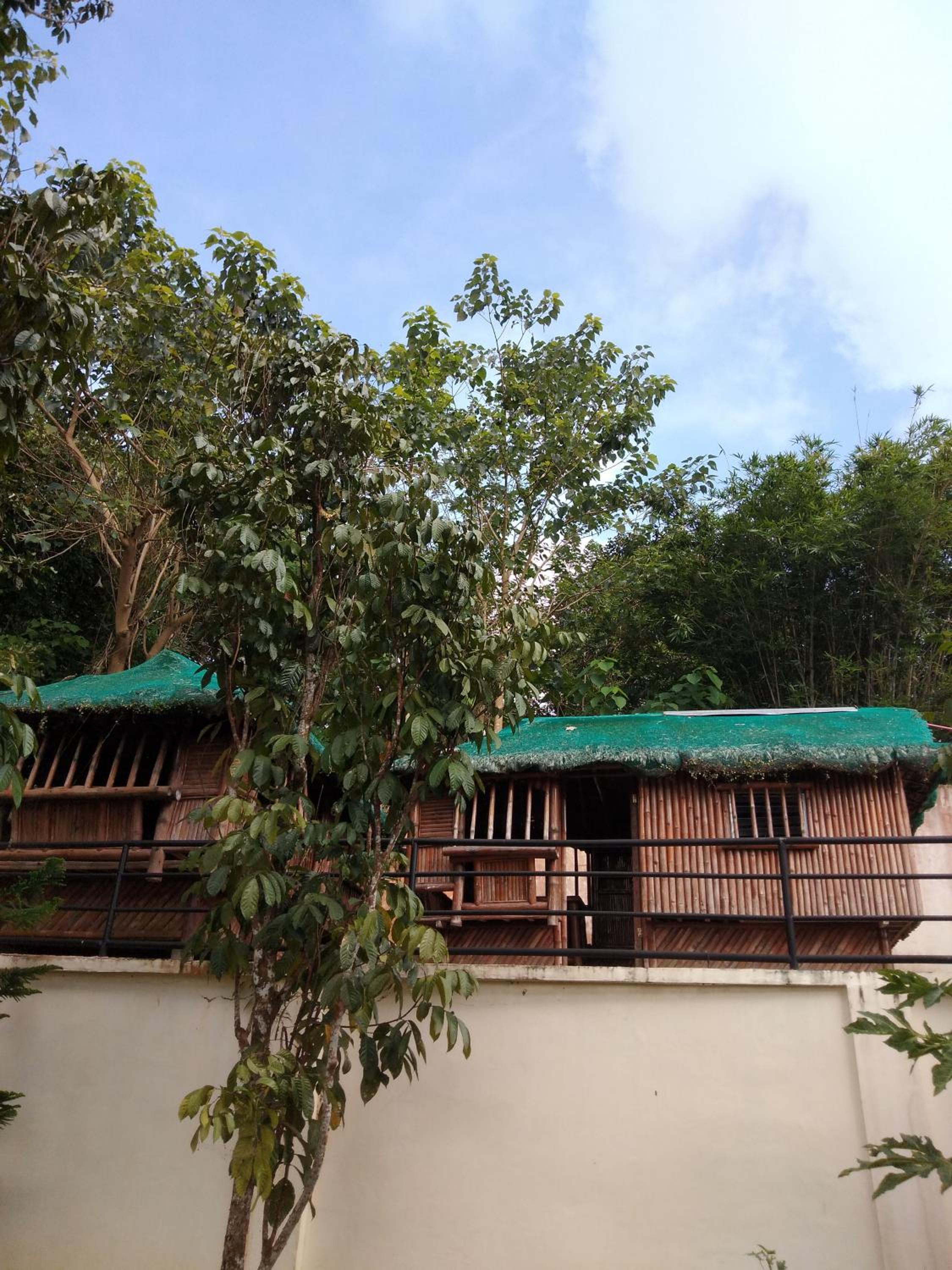 Garden of Gen Resort view 5
