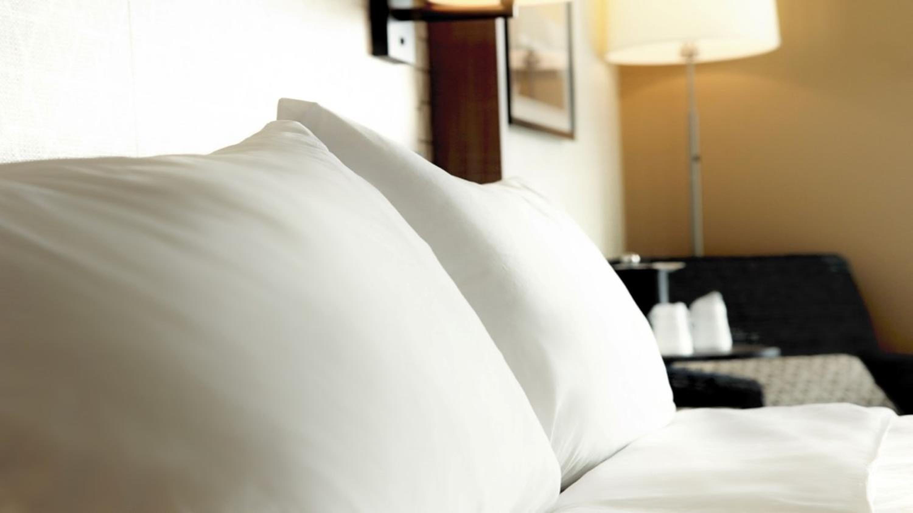 Holiday Inn Hotel Suites Overland Park-Convention Center, an IHG Hotel - Property Image 11