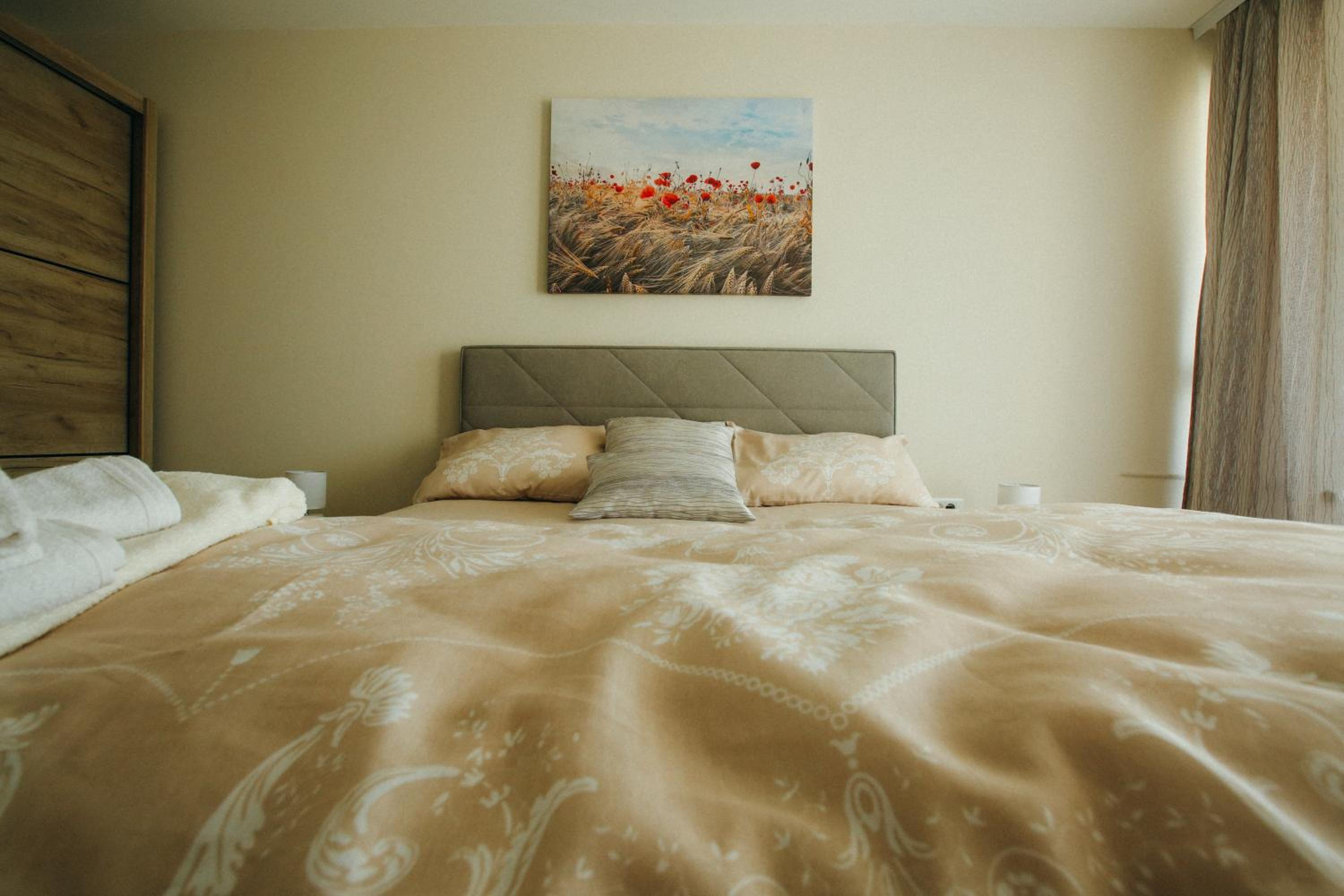 Apartman Lazaro Cacak view 3
