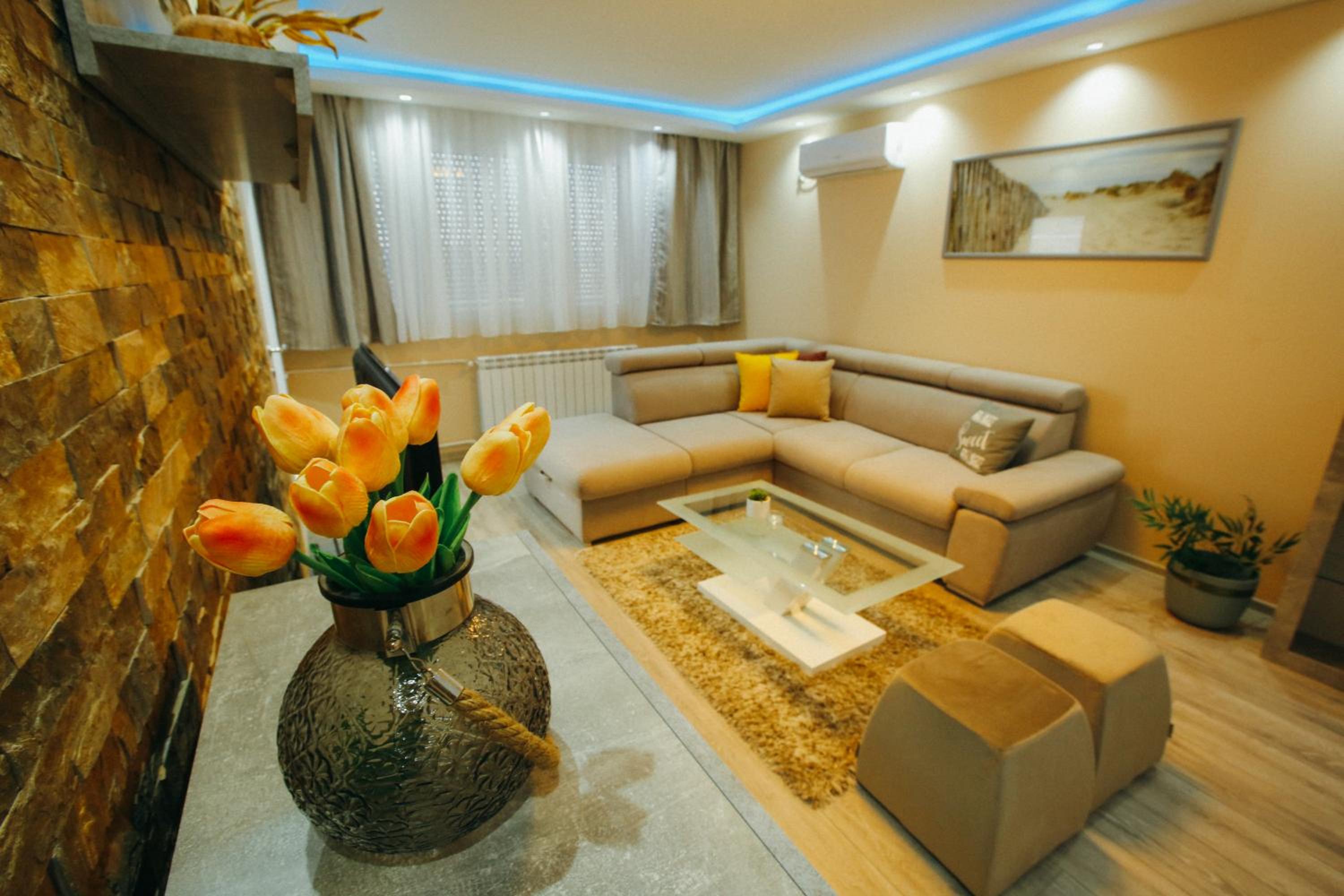 Apartman Lazaro Cacak view 5