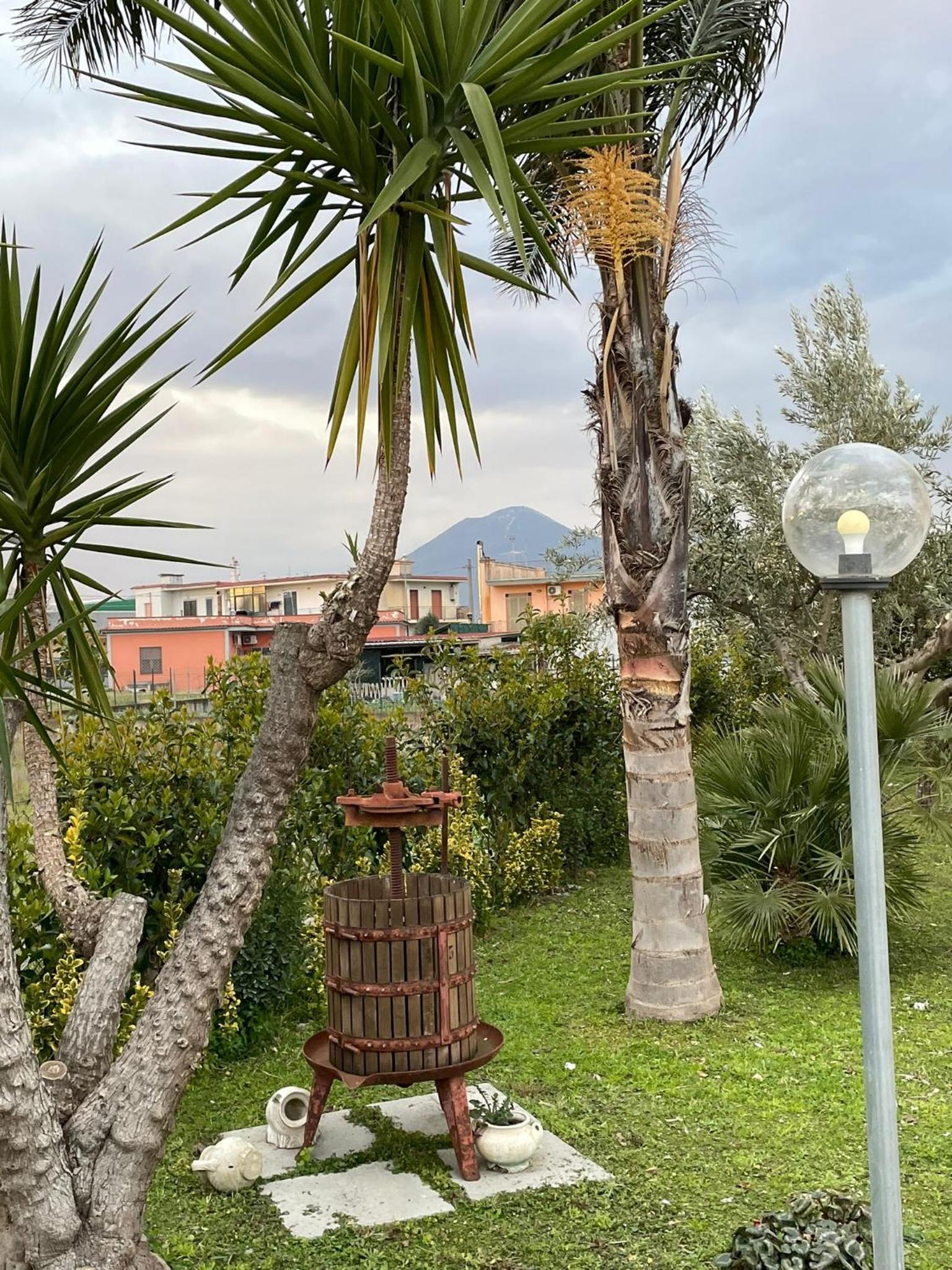 Casa Vacanze Paradise