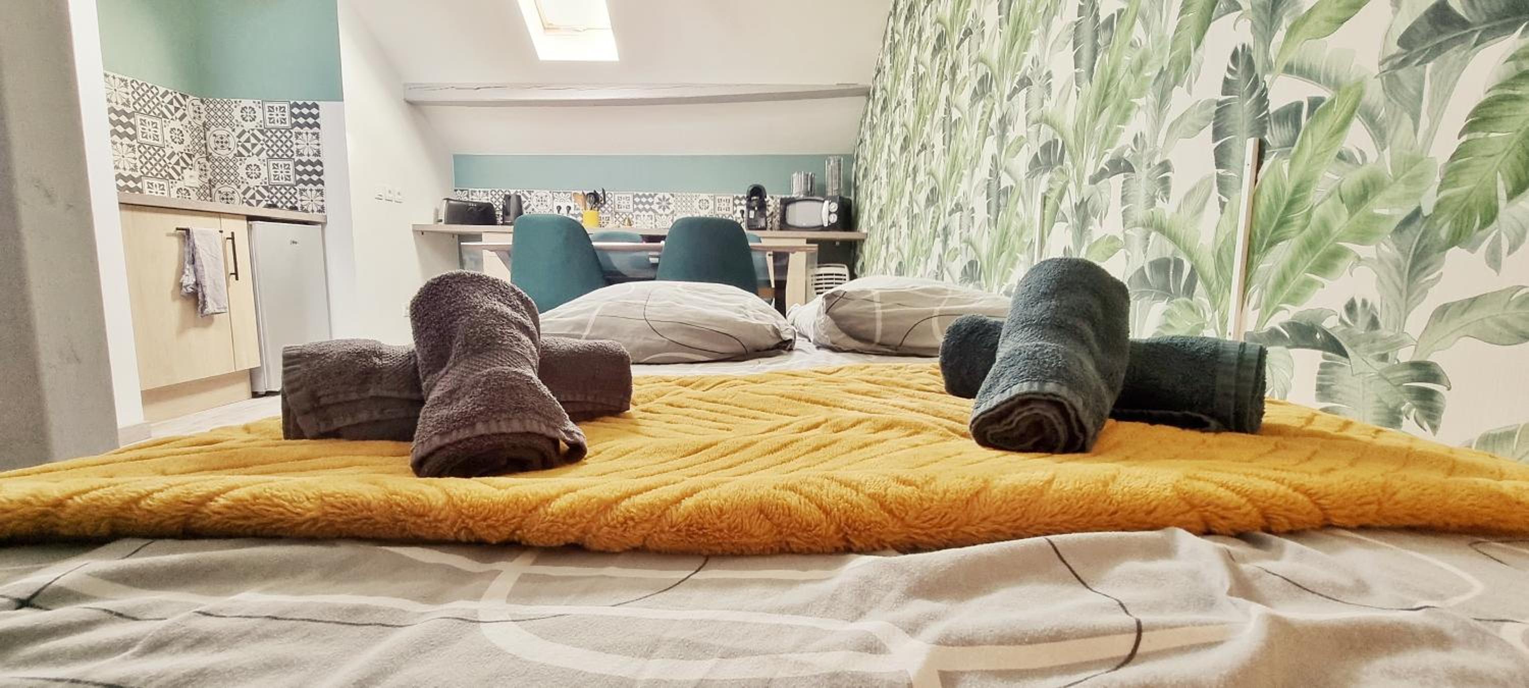 2 Charmants logements * CHARMANT GITE COLMAR *