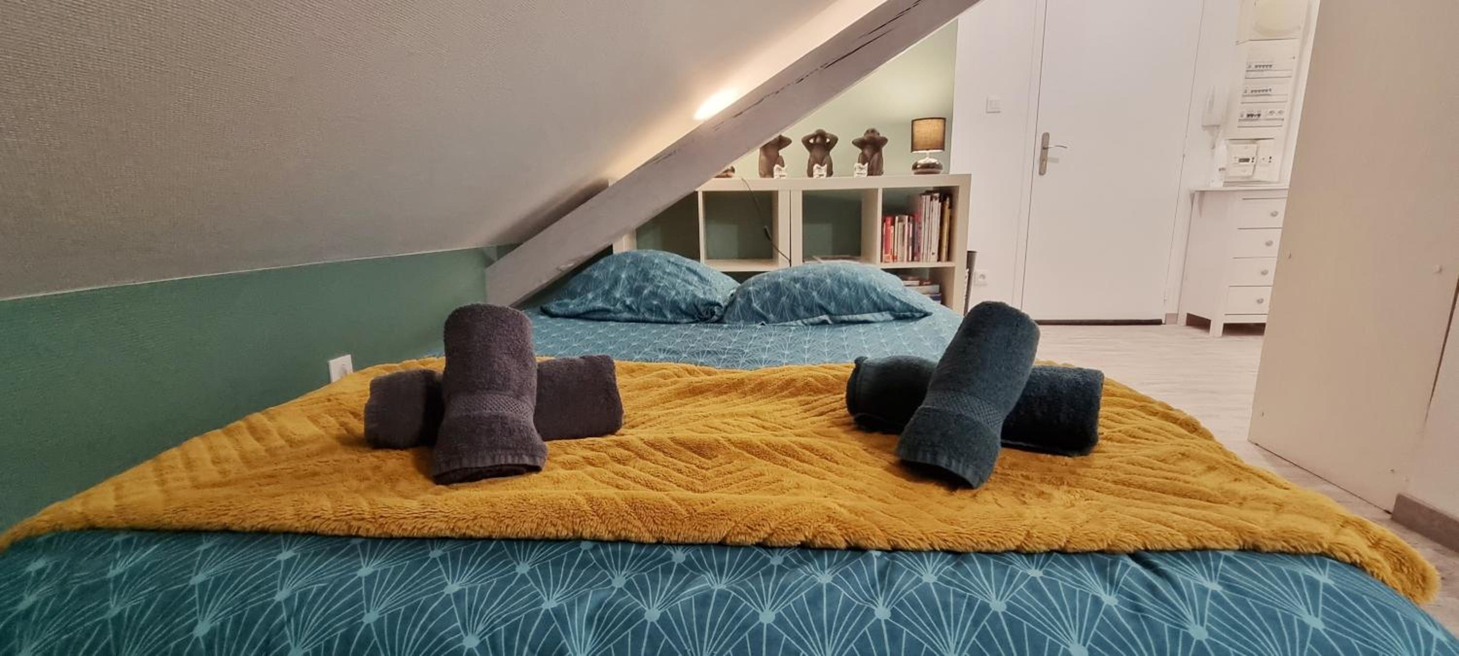 2 Charmants logements * CHARMANT GITE COLMAR *