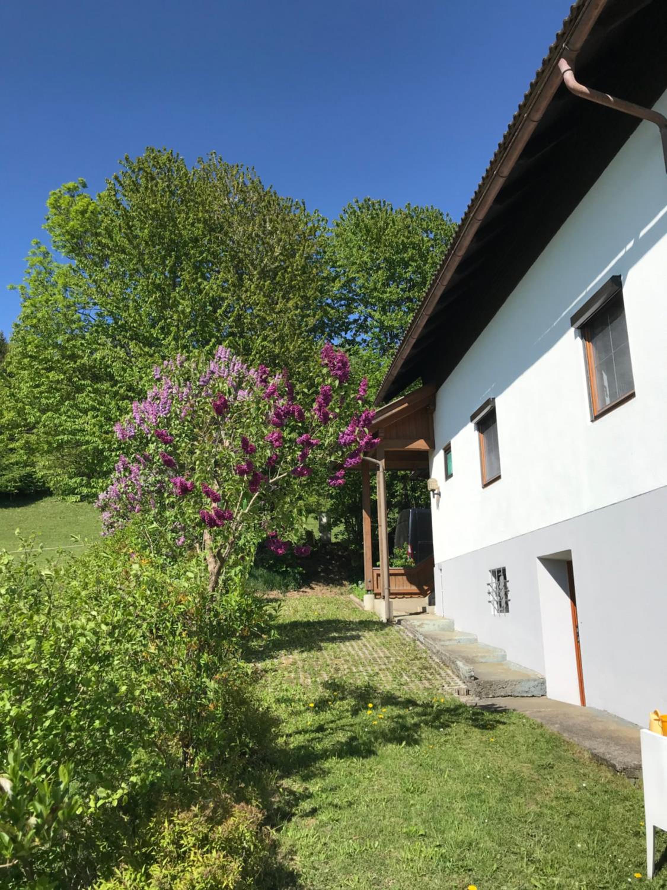 Haus Romsicht Karinthië