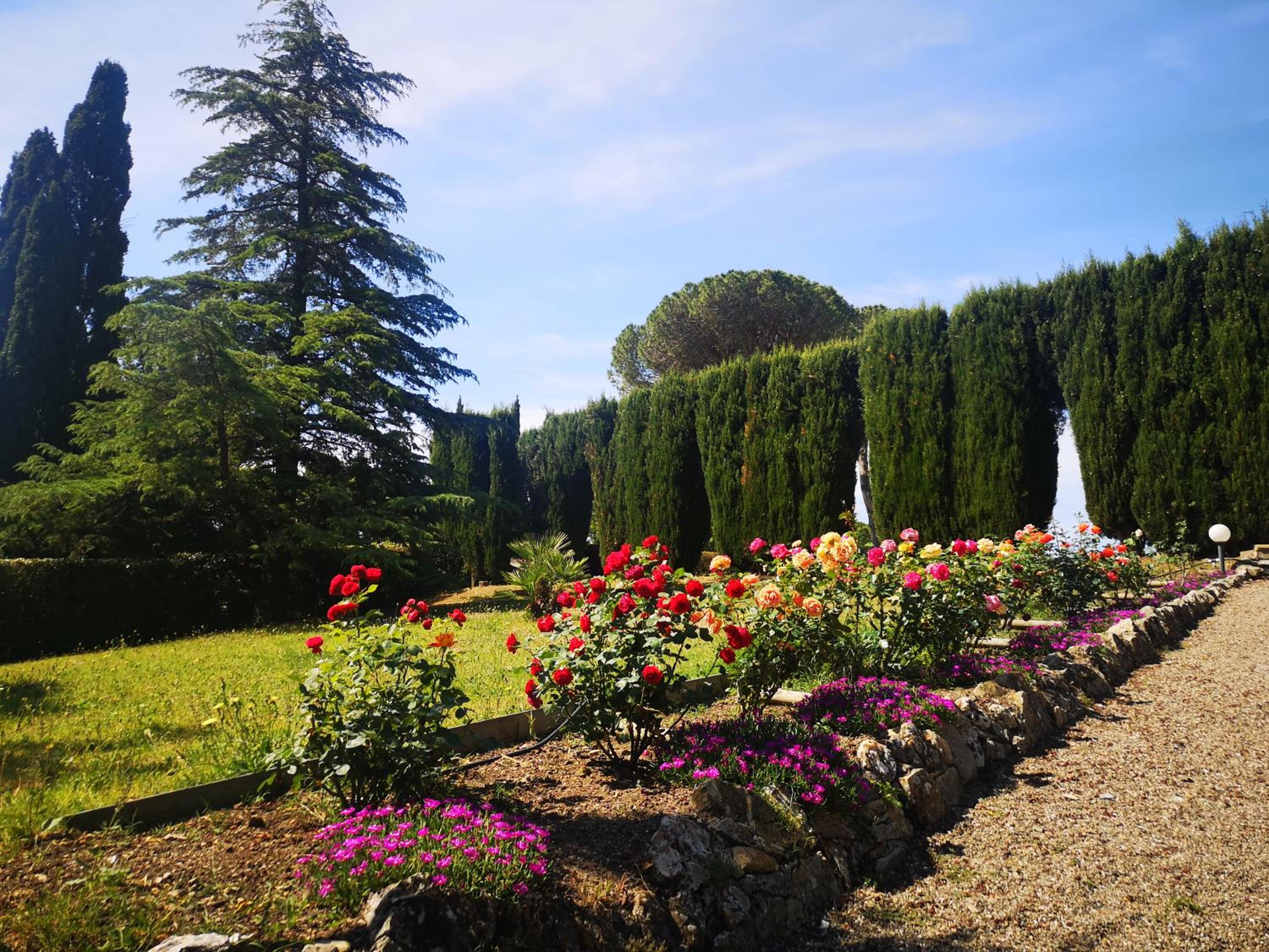 Villa Bellaria photo 5