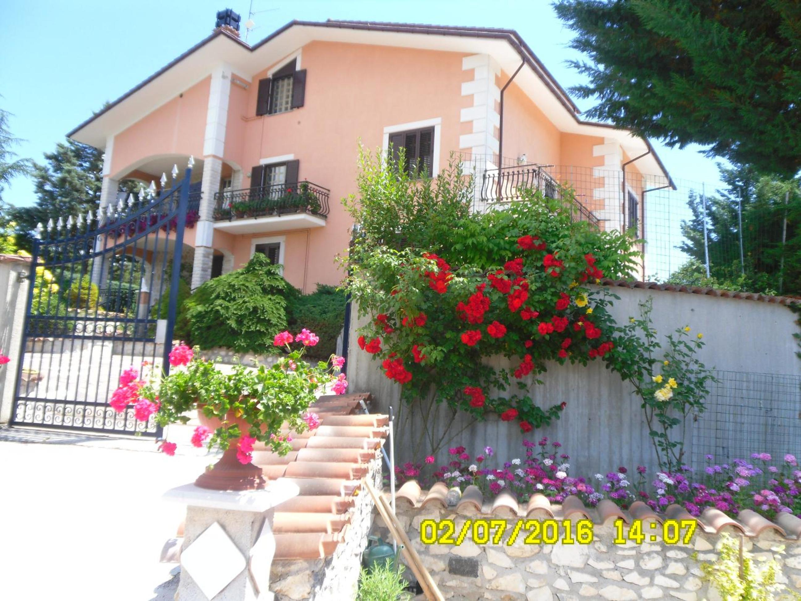 Photo 7