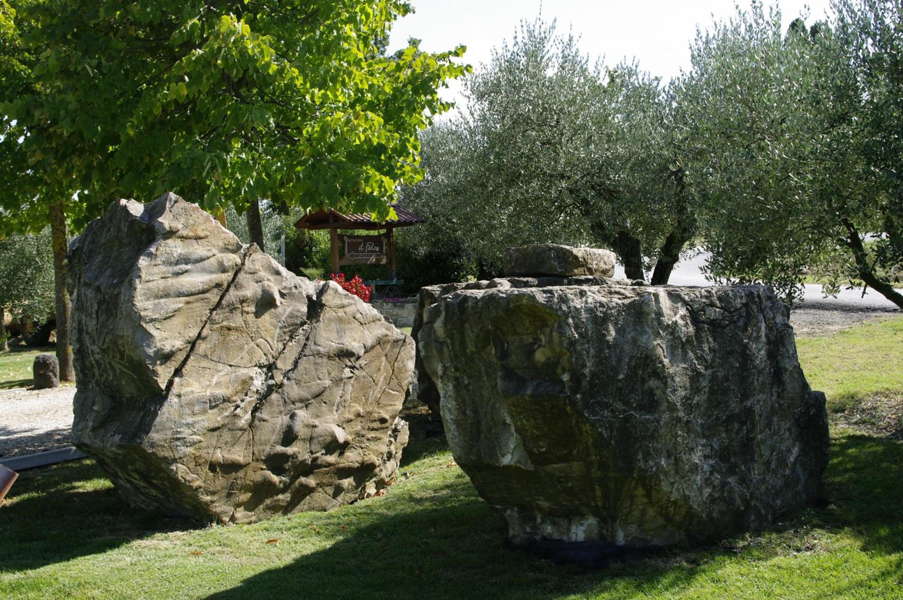 Photo 40