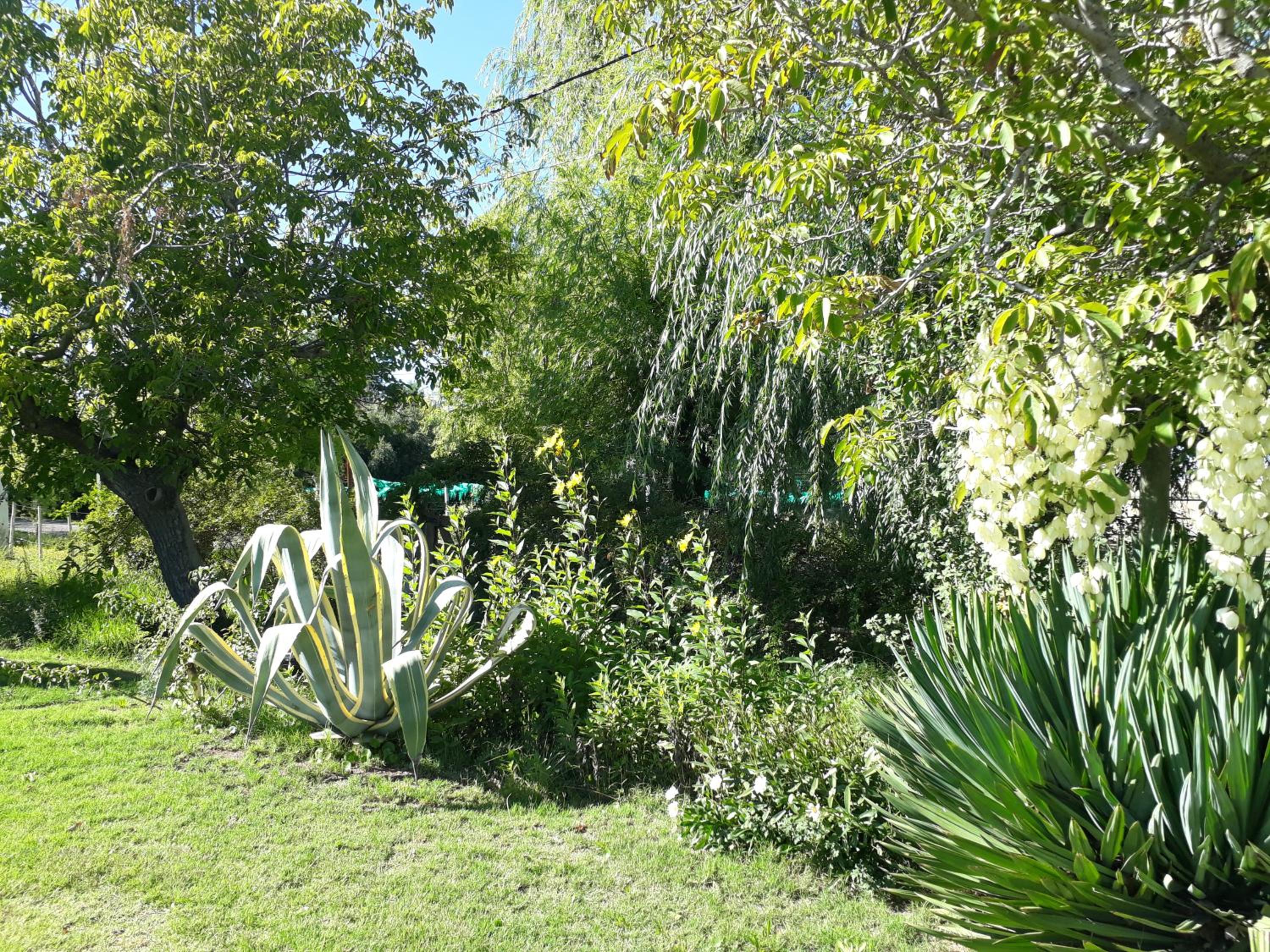 Casa de campo Las olivas