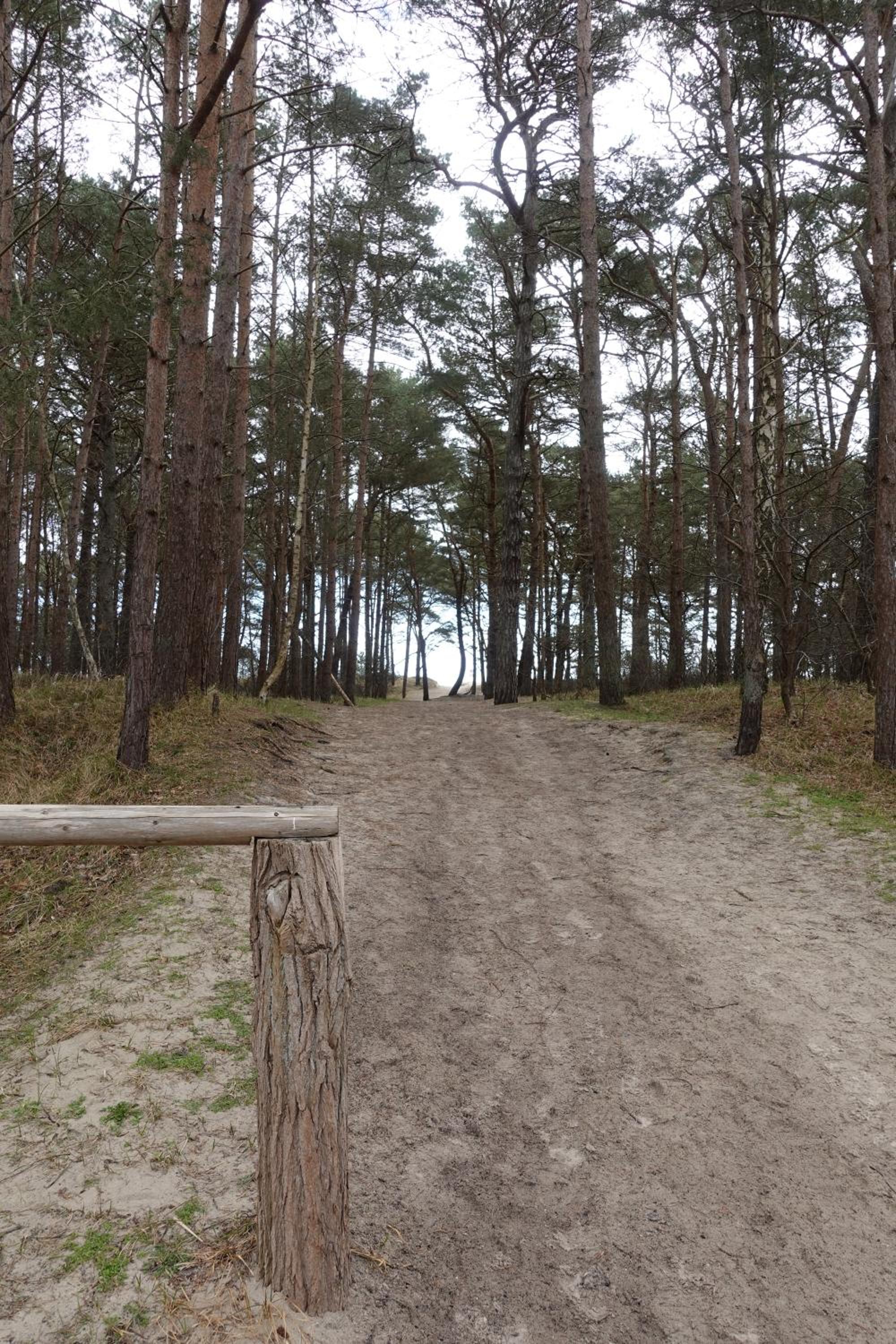 Usedoms Kleines Ostseeglück #1 in Peenemünde bis 4 Personen, Zuganreise möglich