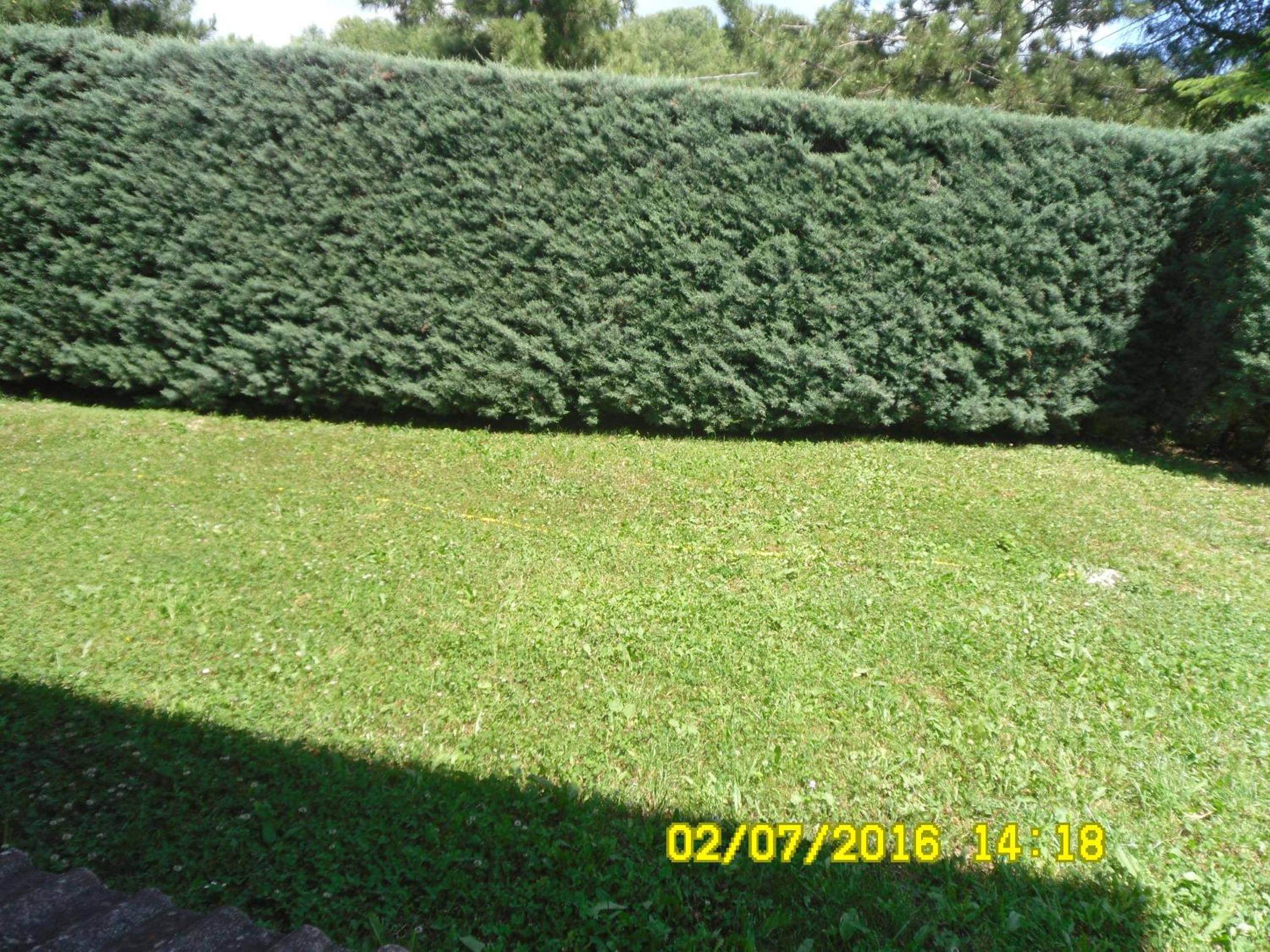 Photo 72