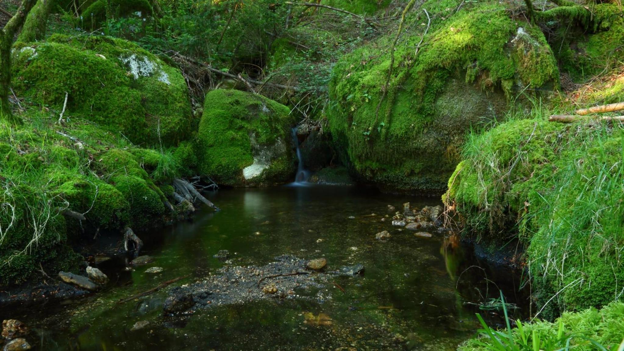 Photo 44