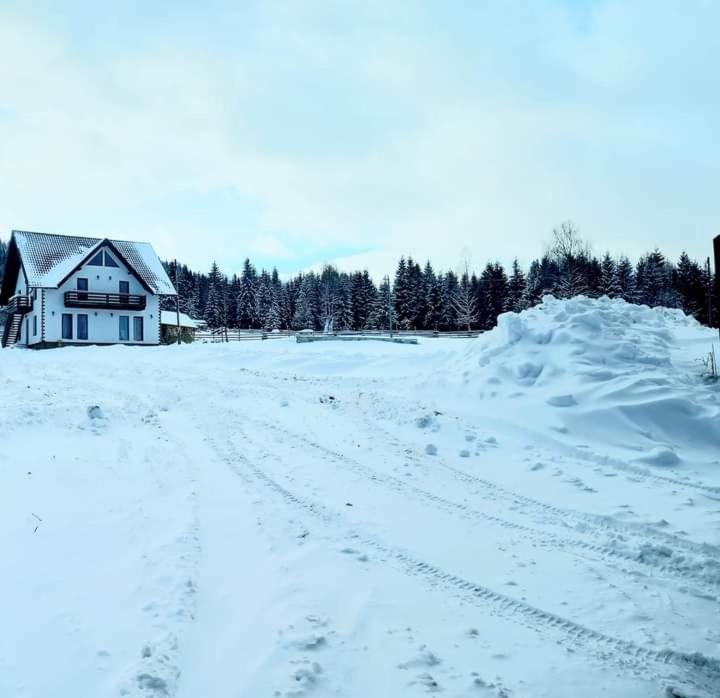 Photo 29