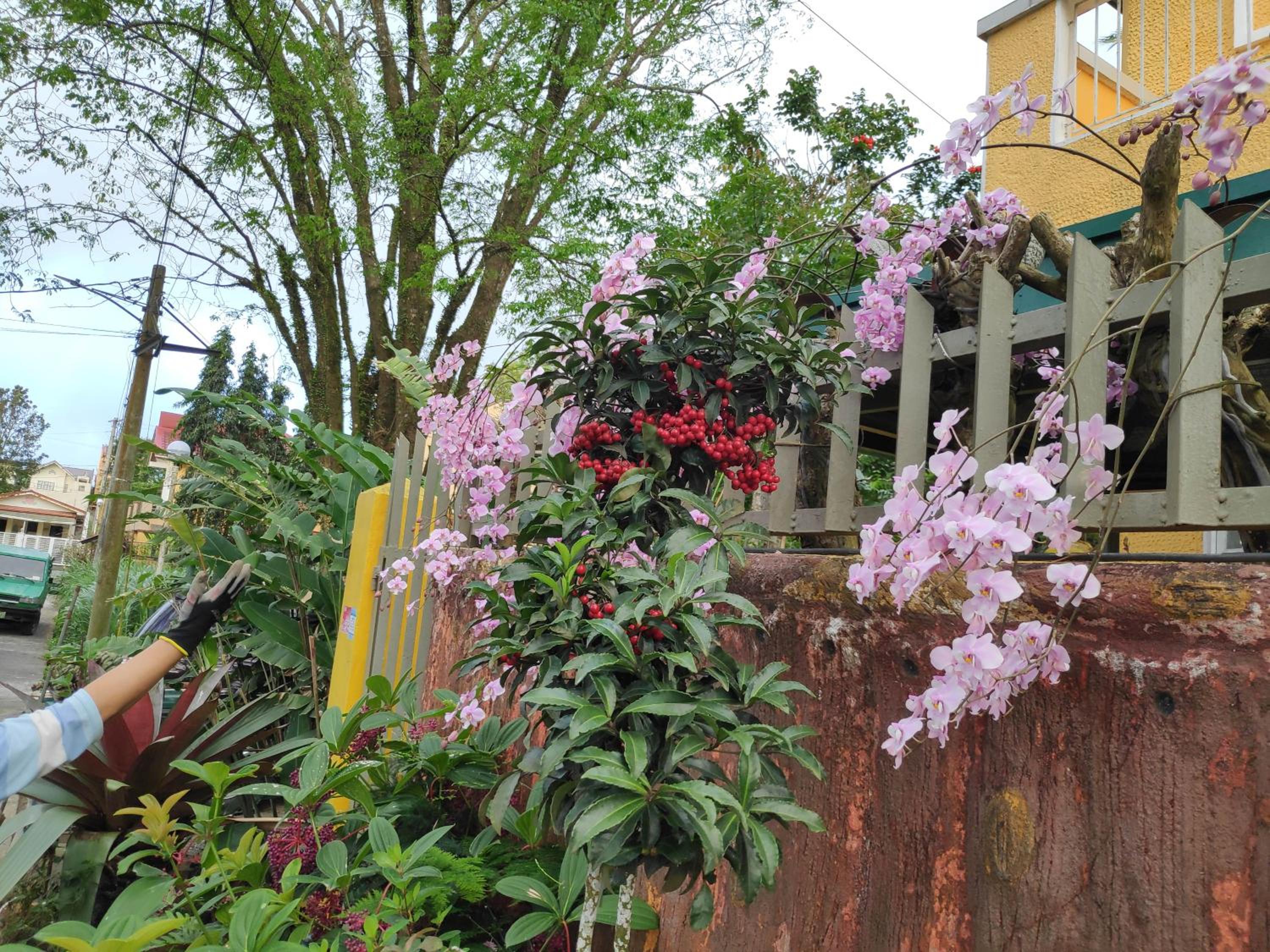 Affordable Tagaytay House for Rent view 2