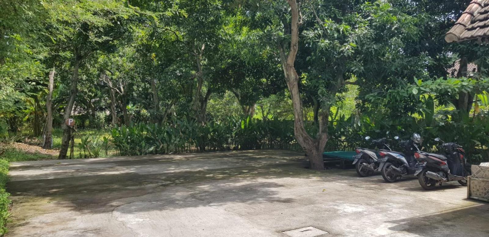Mango Tree Inn