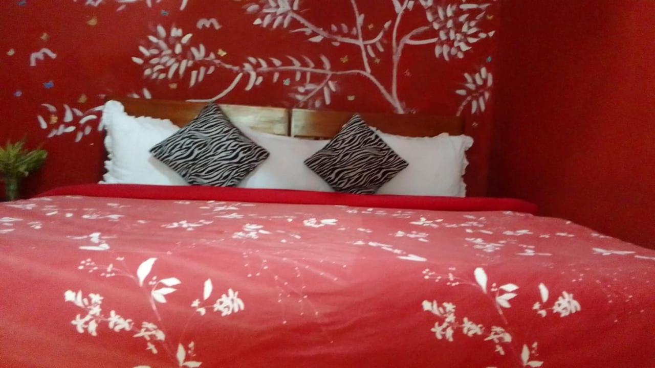 Secret Nest Homestay