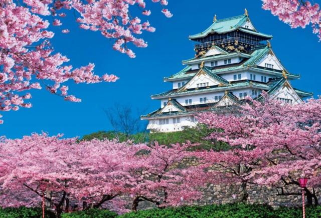 Miraie Osaka Higashinari202