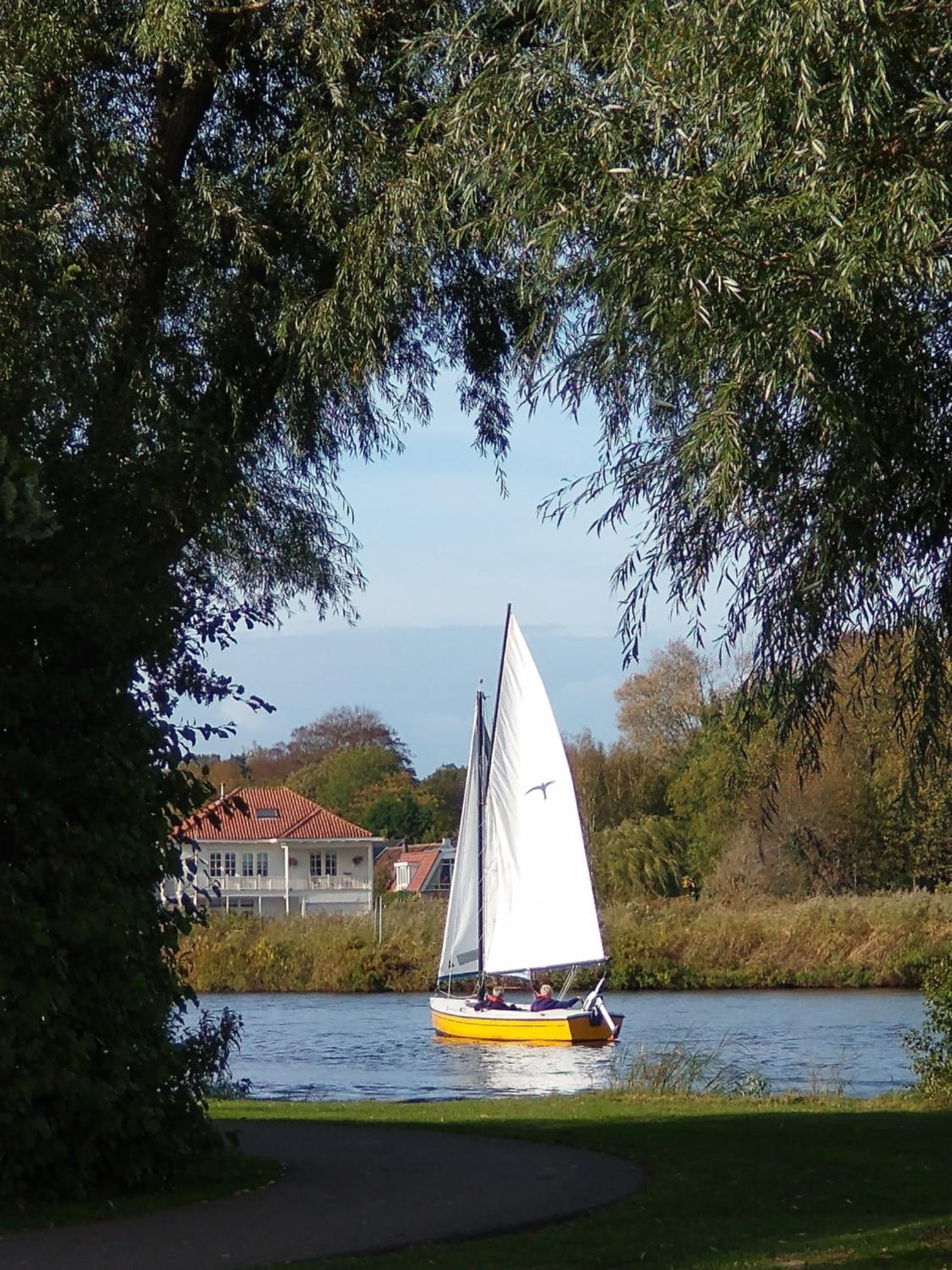 B&Bslapenopeeneiland, photo 14