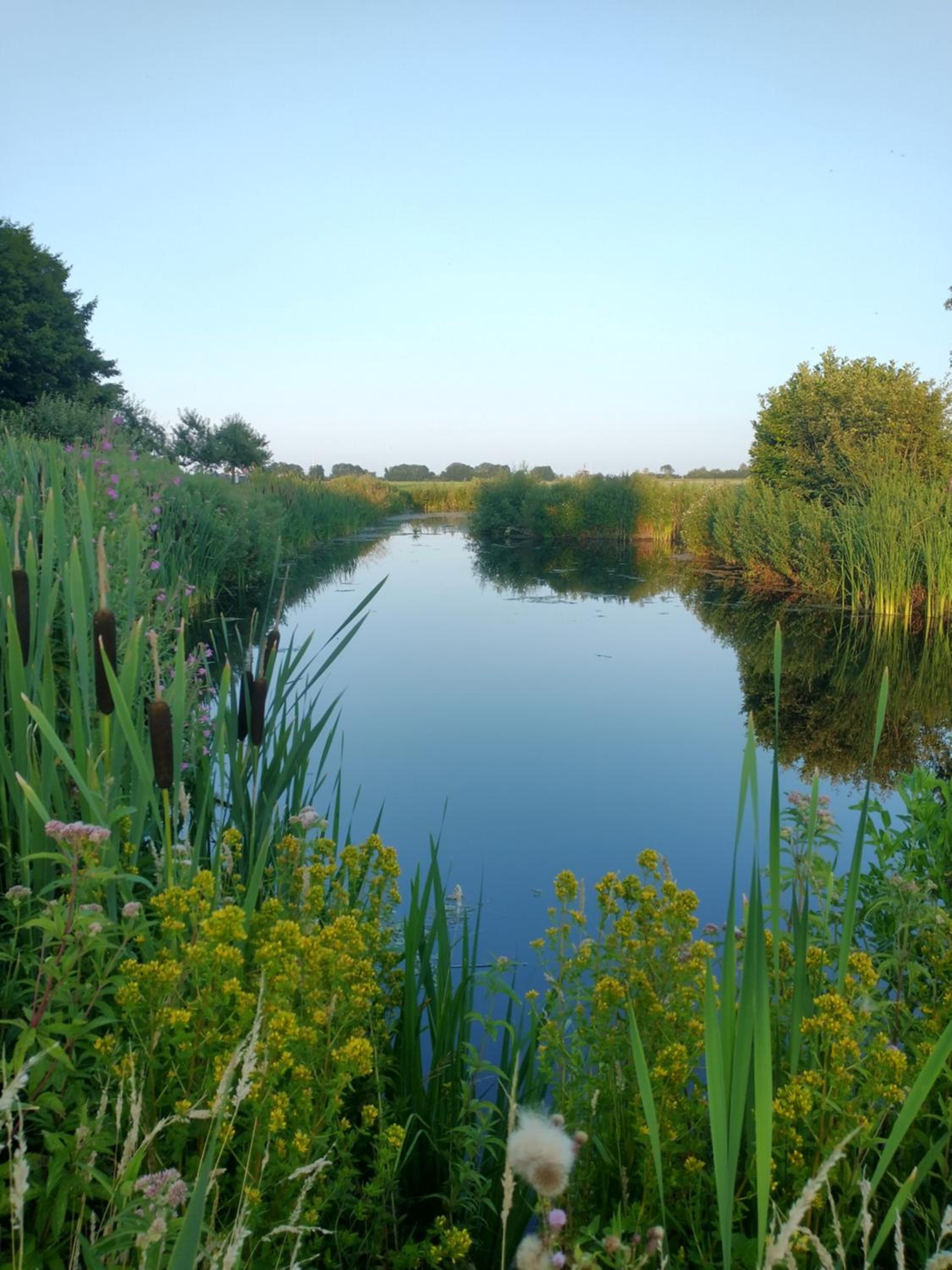 B&Bslapenopeeneiland, photo 44
