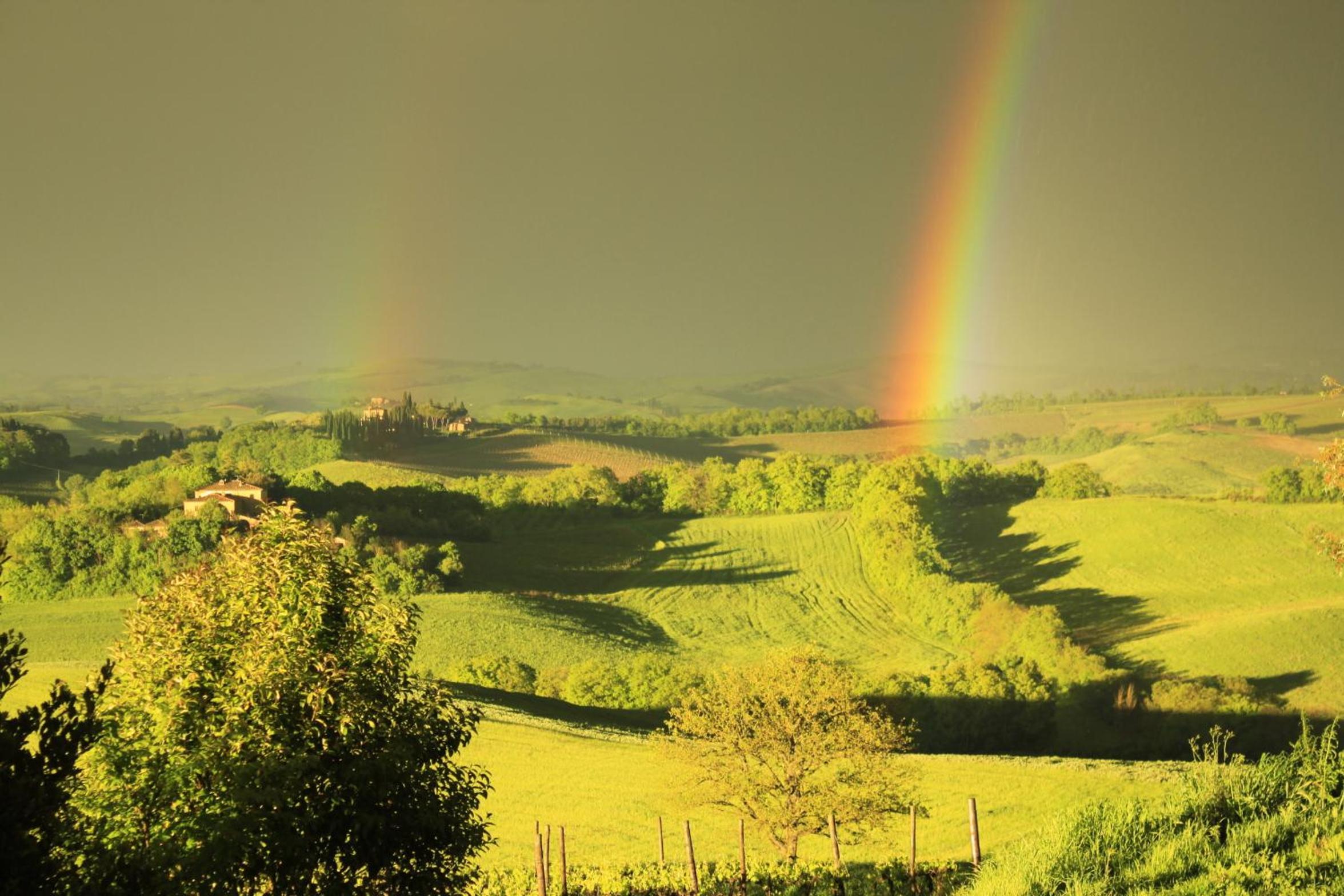 Wine Resort Colsereno
