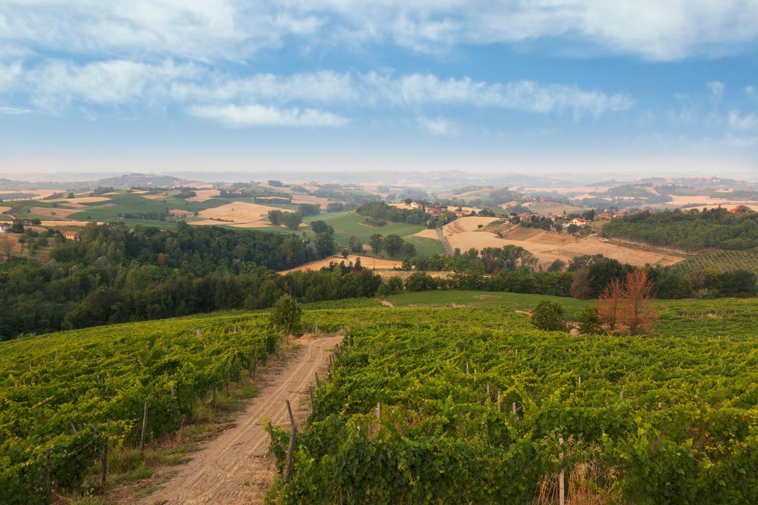 Crealto view 3