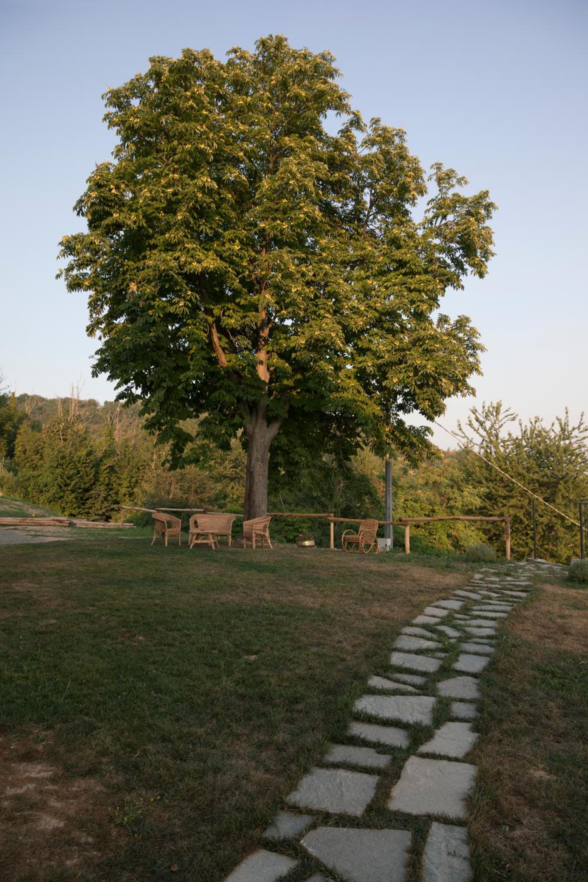 Photo 31