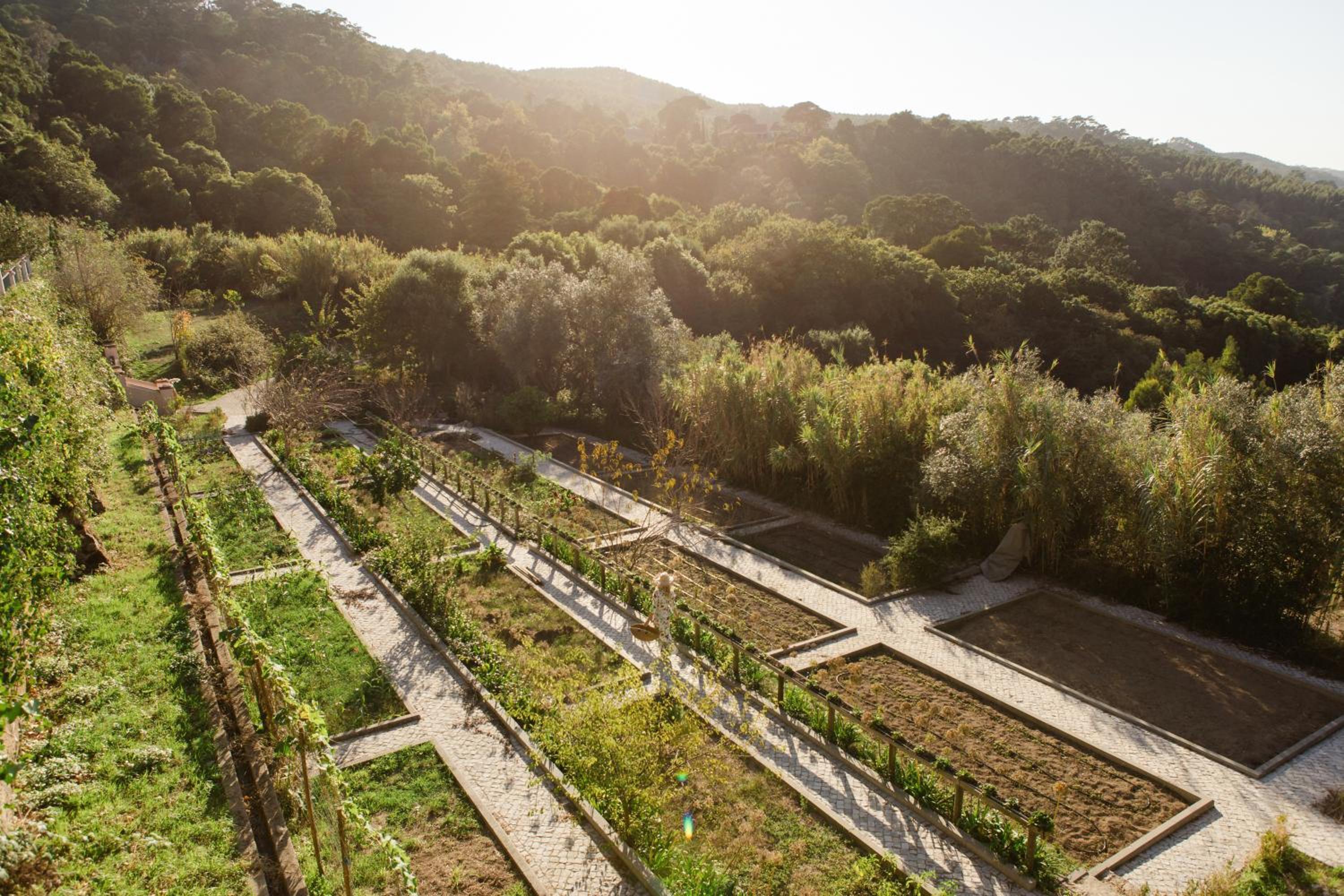 Quinta da Bella Vista 6