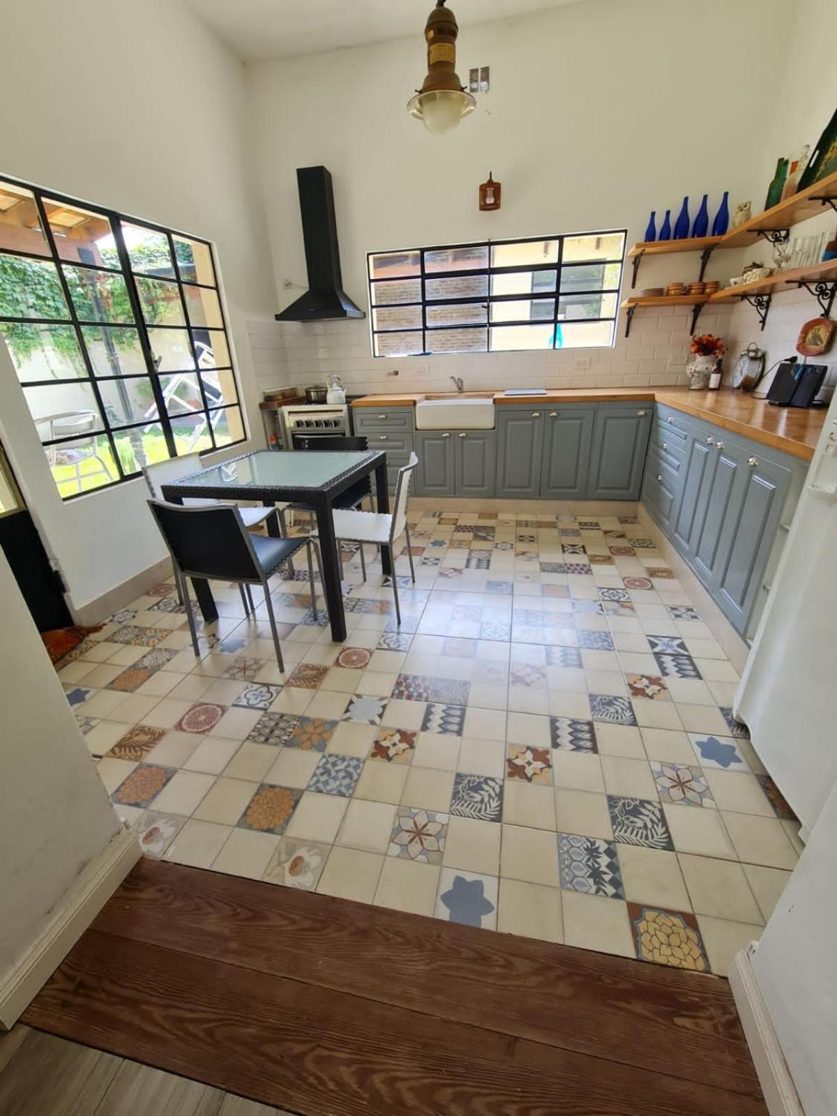 Lechuza del Campanario