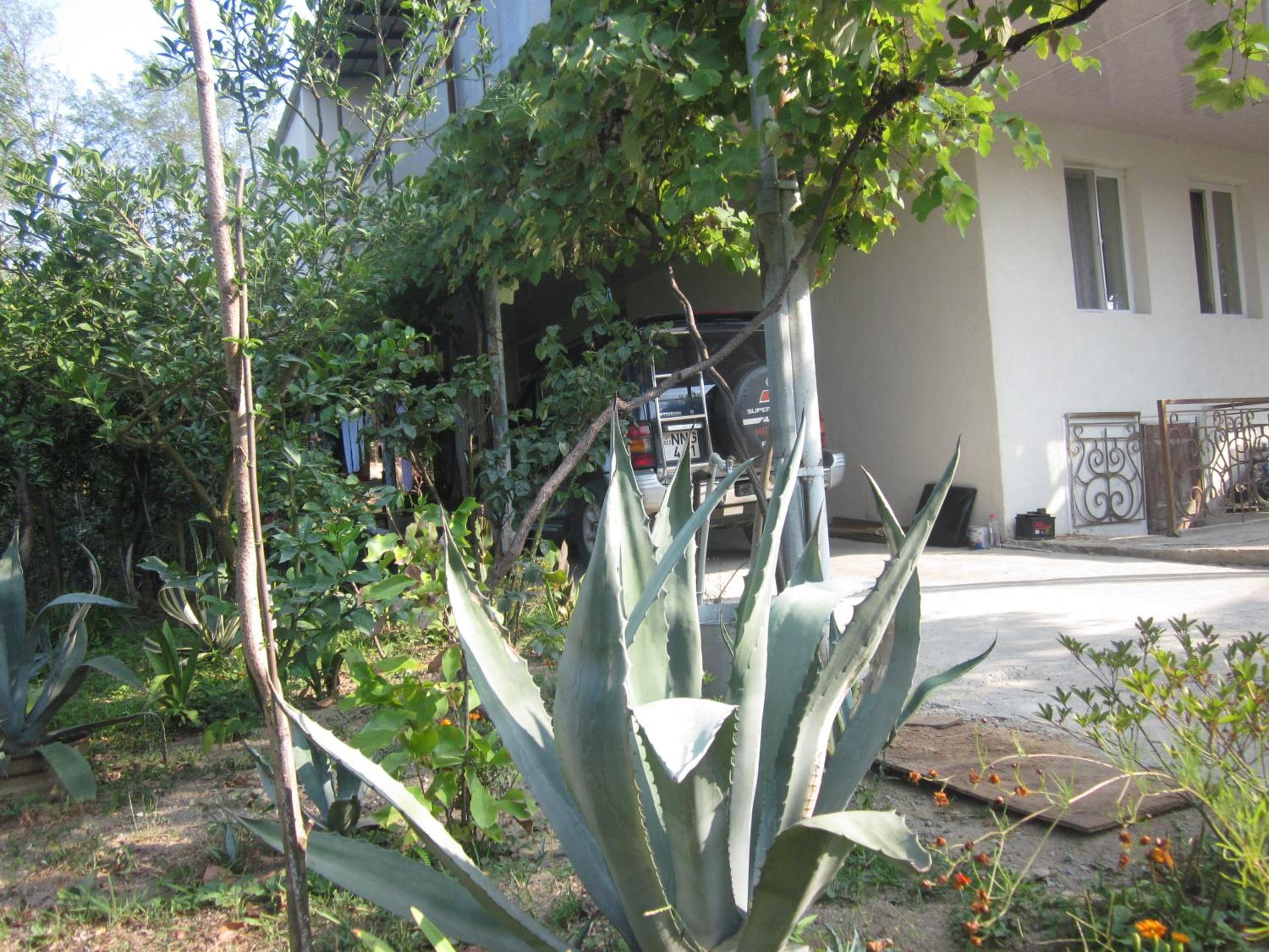 Photo 35