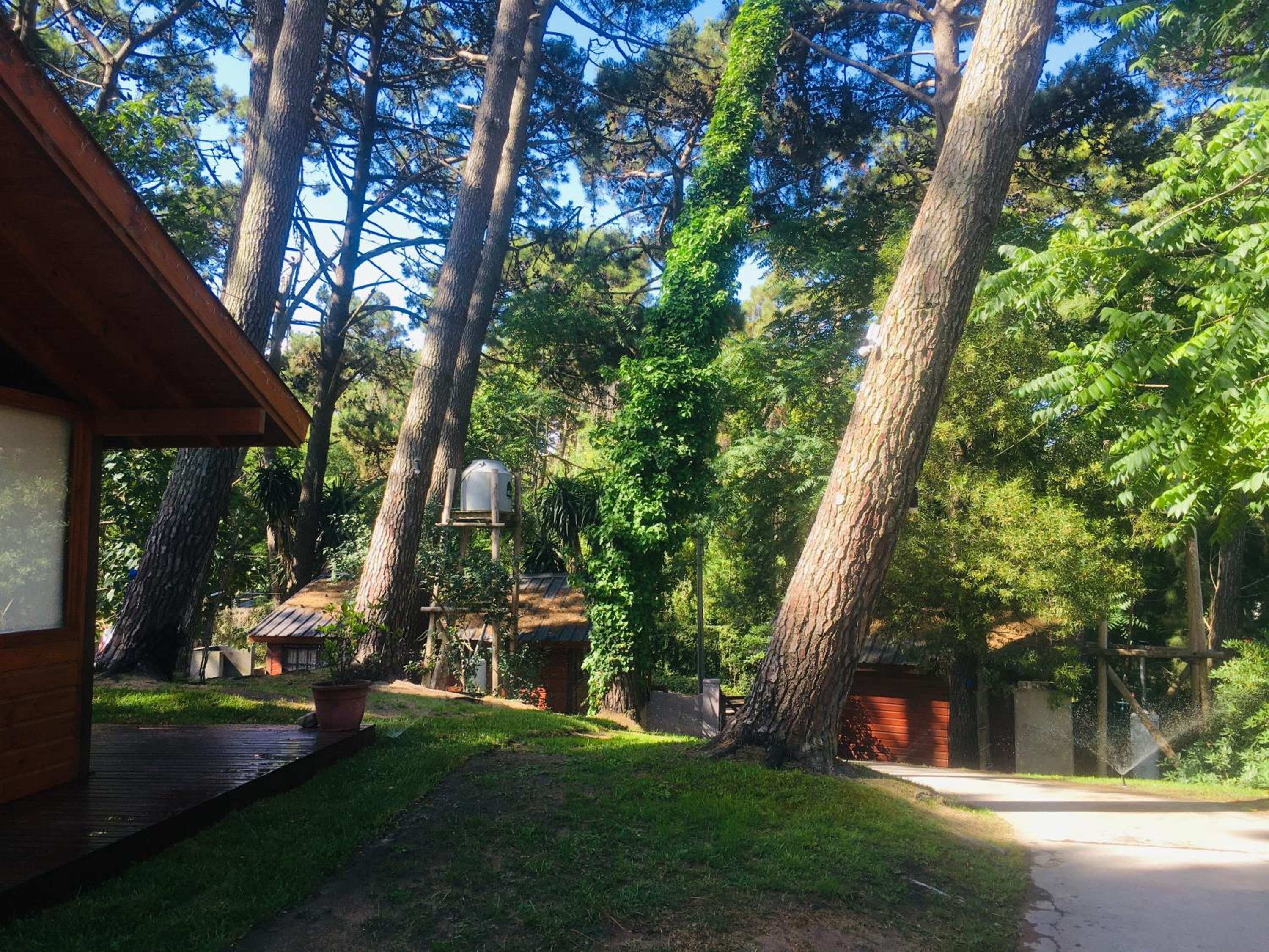 Cabañas Entre Pinos