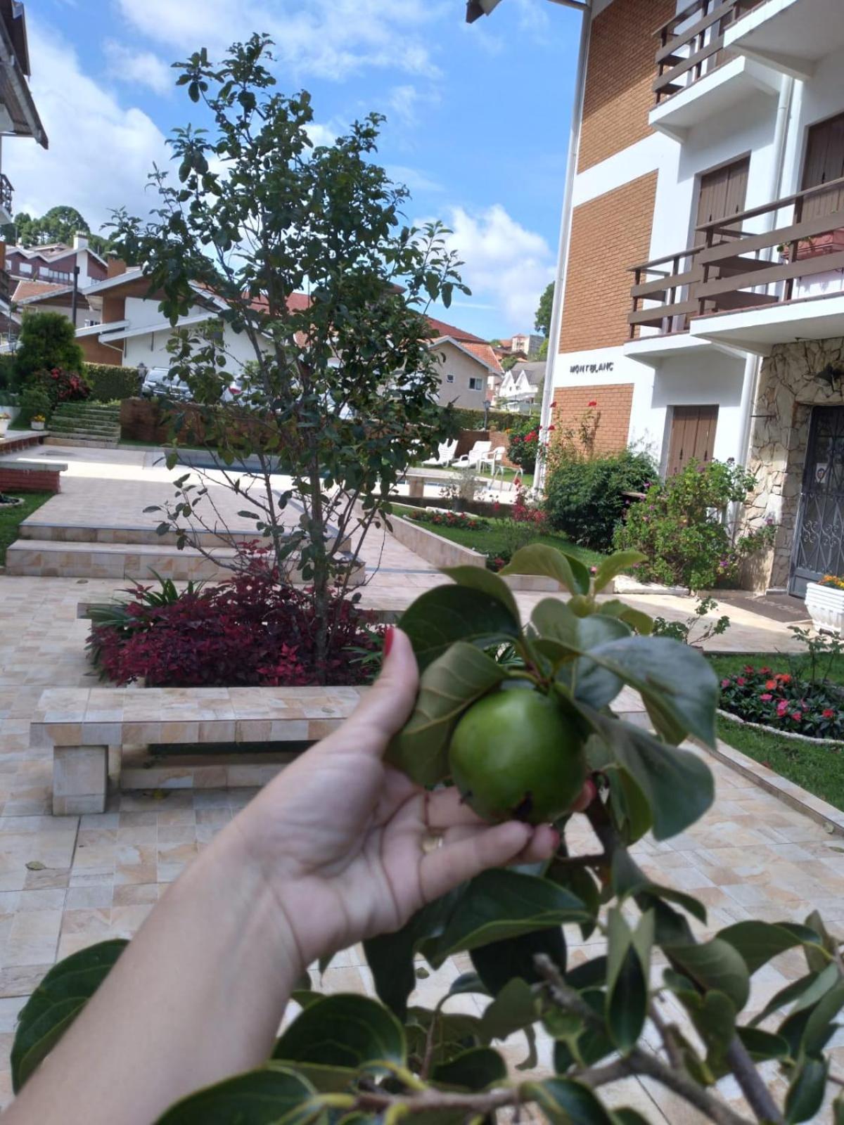 Apartamento Campos do Jordão ao lado do Capivari