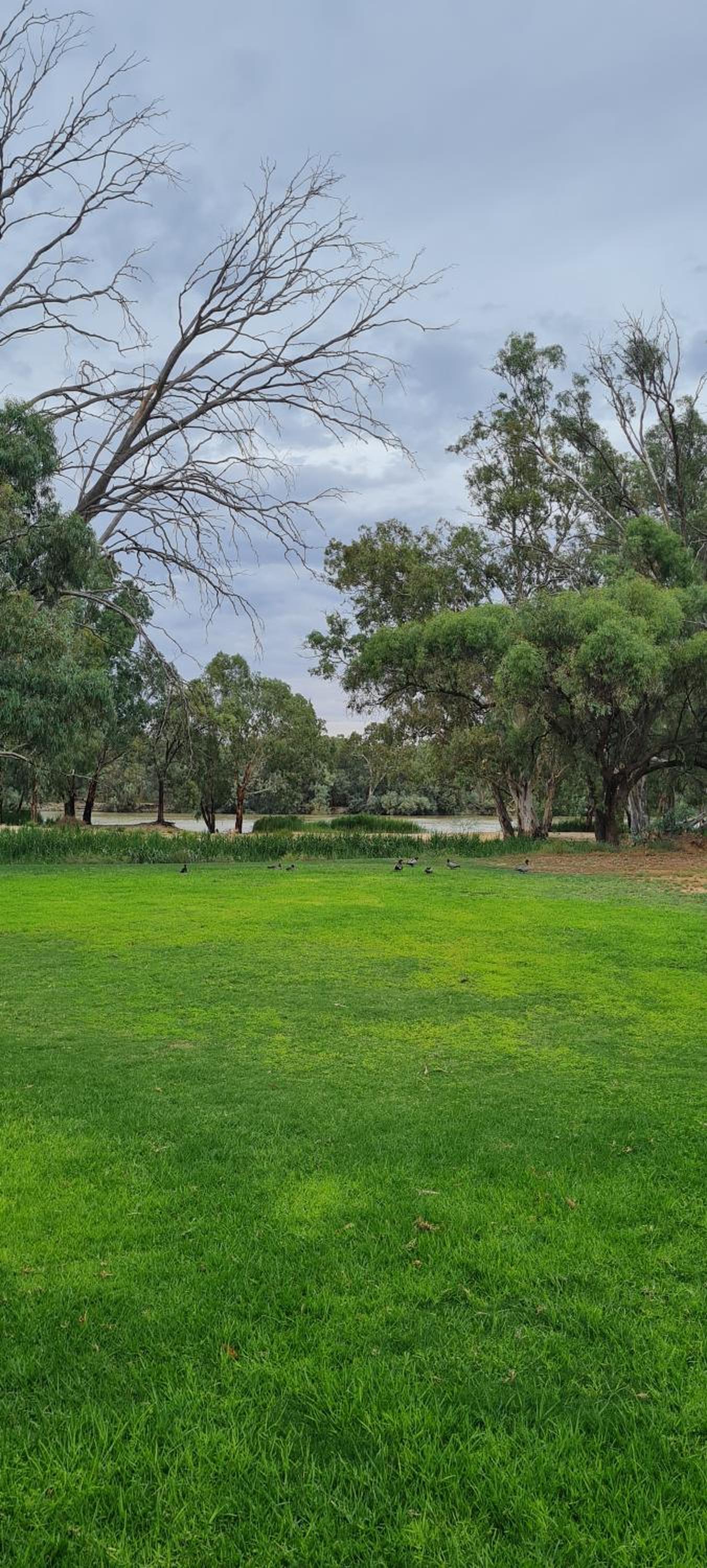 Riversands Rest Accommodation Paringa - Willow Cottage