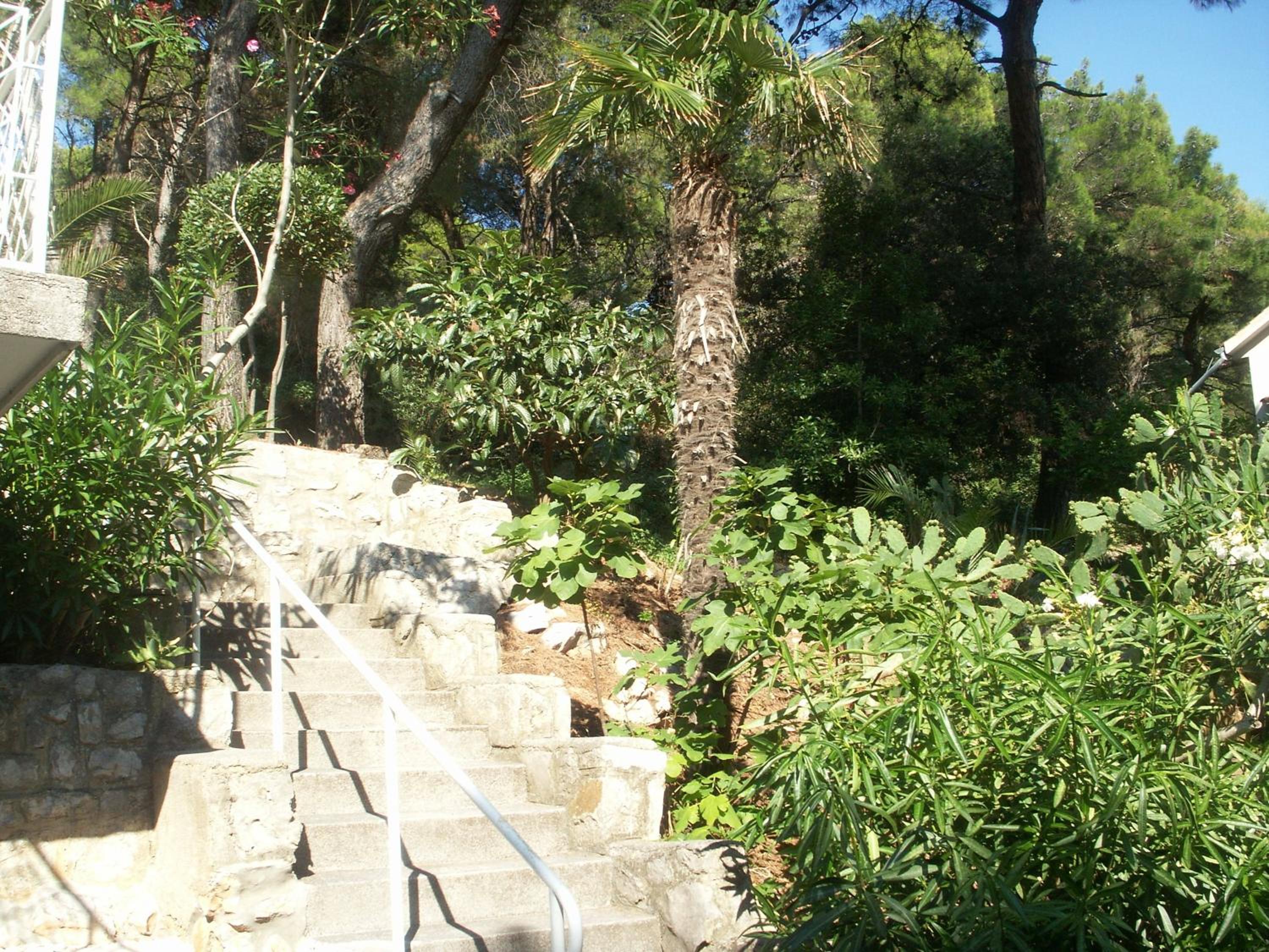 Apartments Manuela