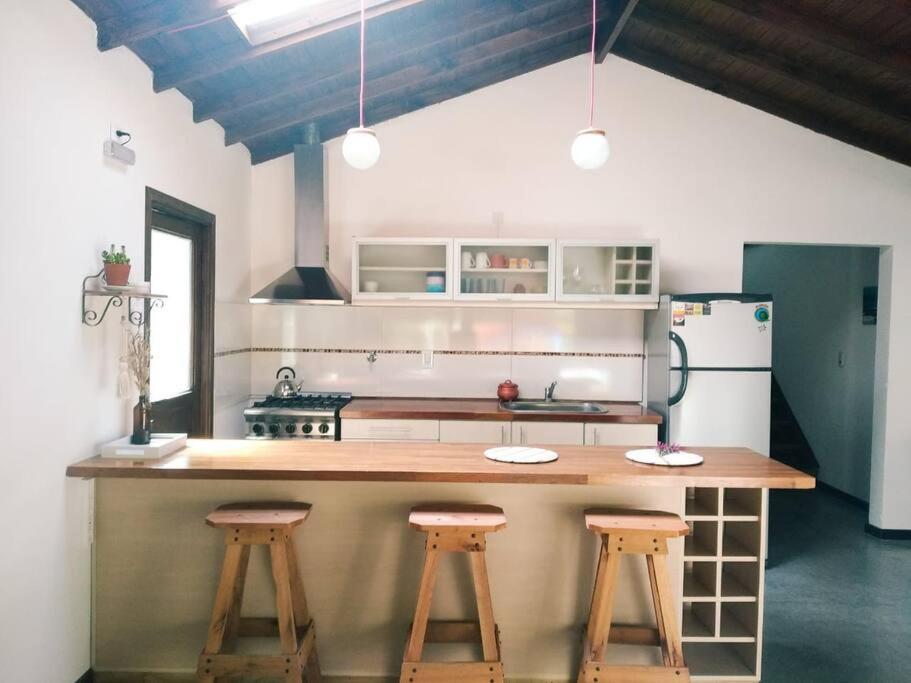 Casa Tierra de Bosque