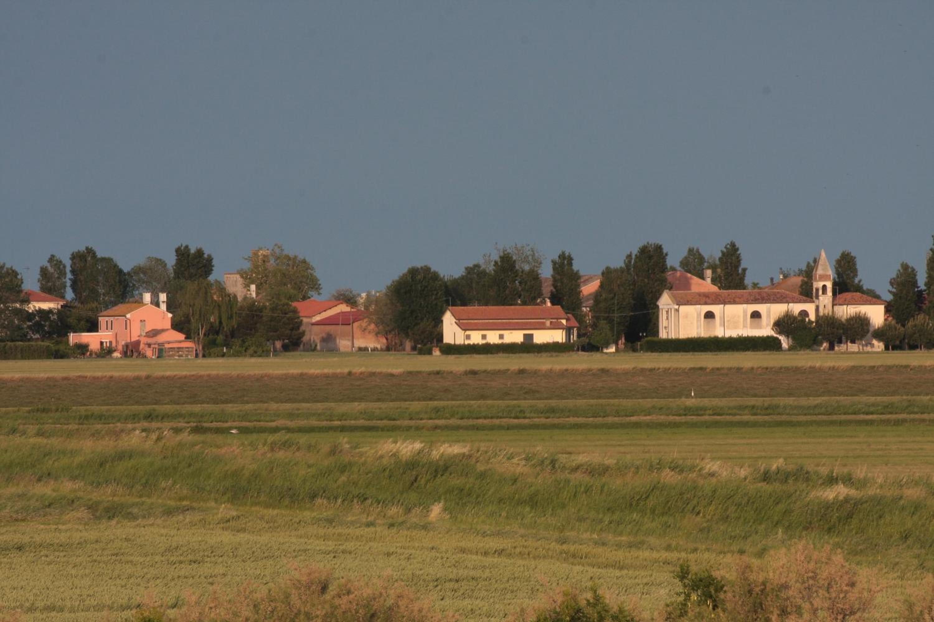 Photo 45