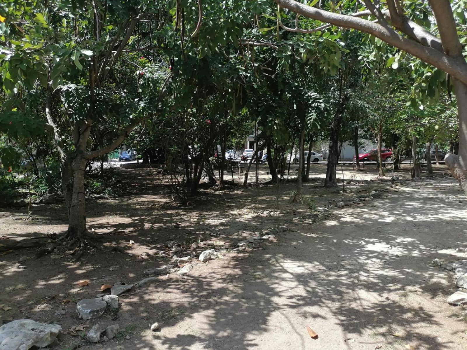 Las Quintas 24 view 5