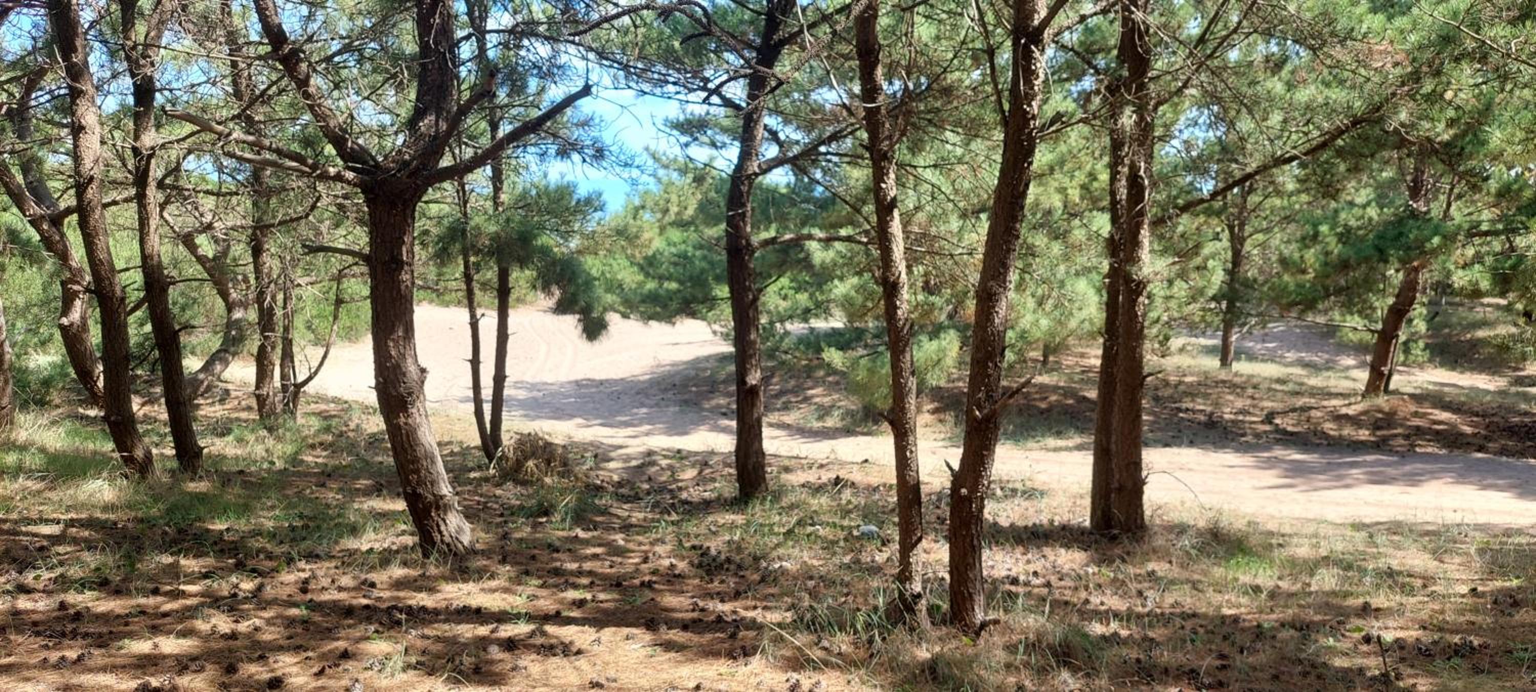 Chalet de vacaciones con tu mascota