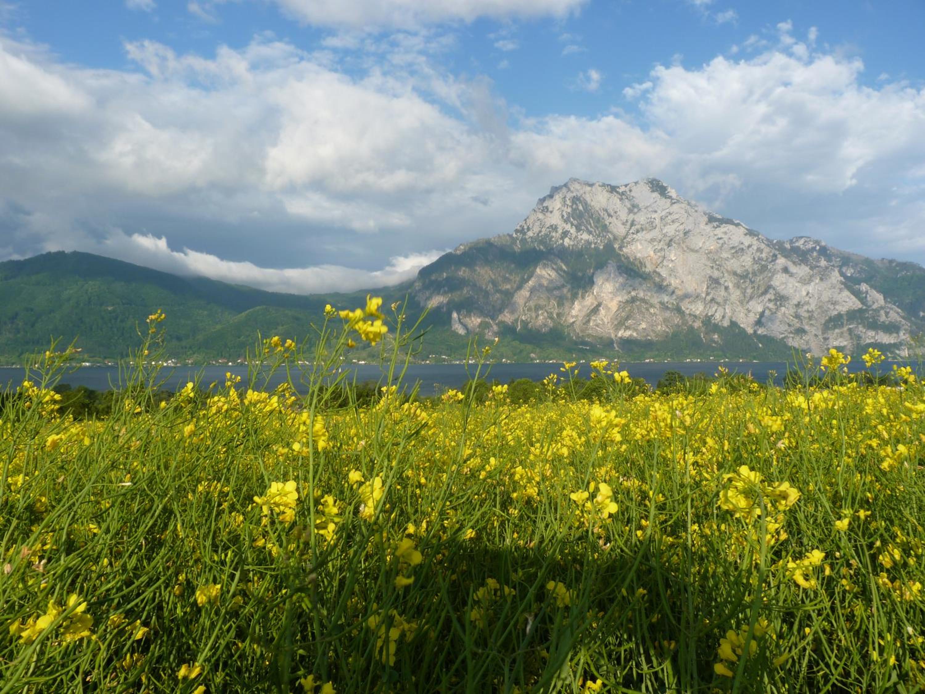 Landgut Wagnerfeld