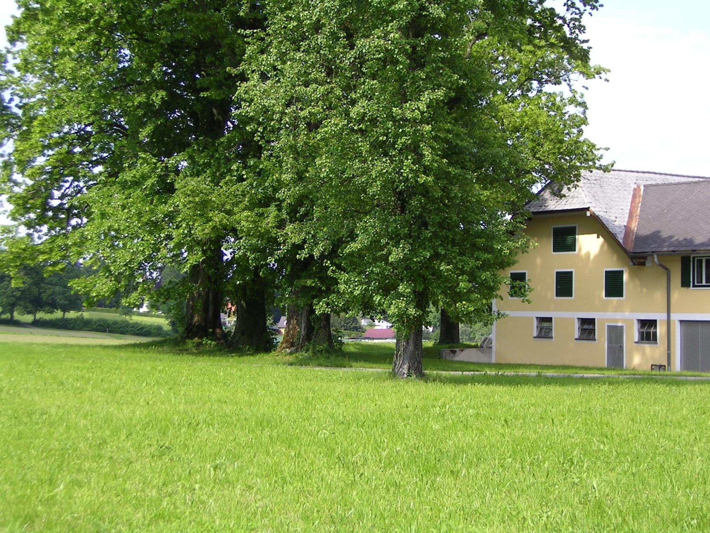 Landgut Wagnerfeld