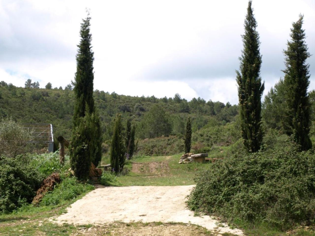 Photo 25