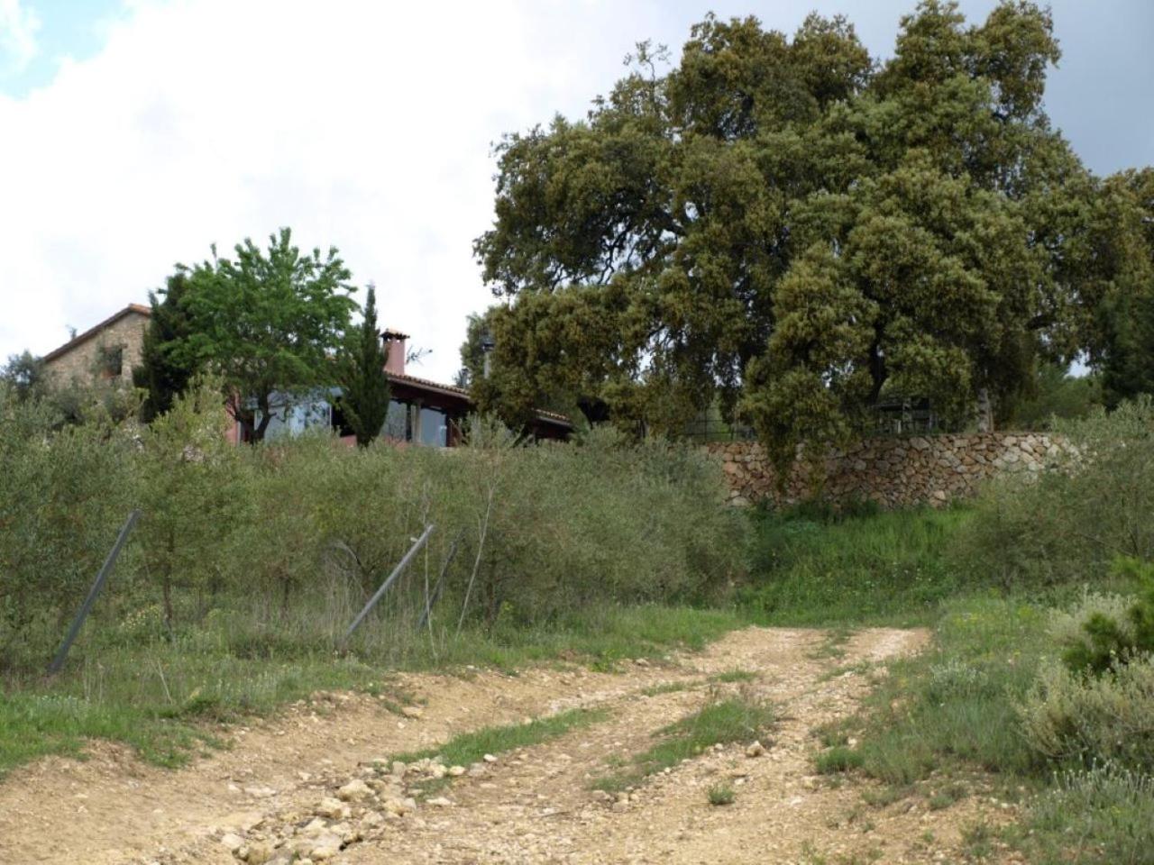 Photo 17