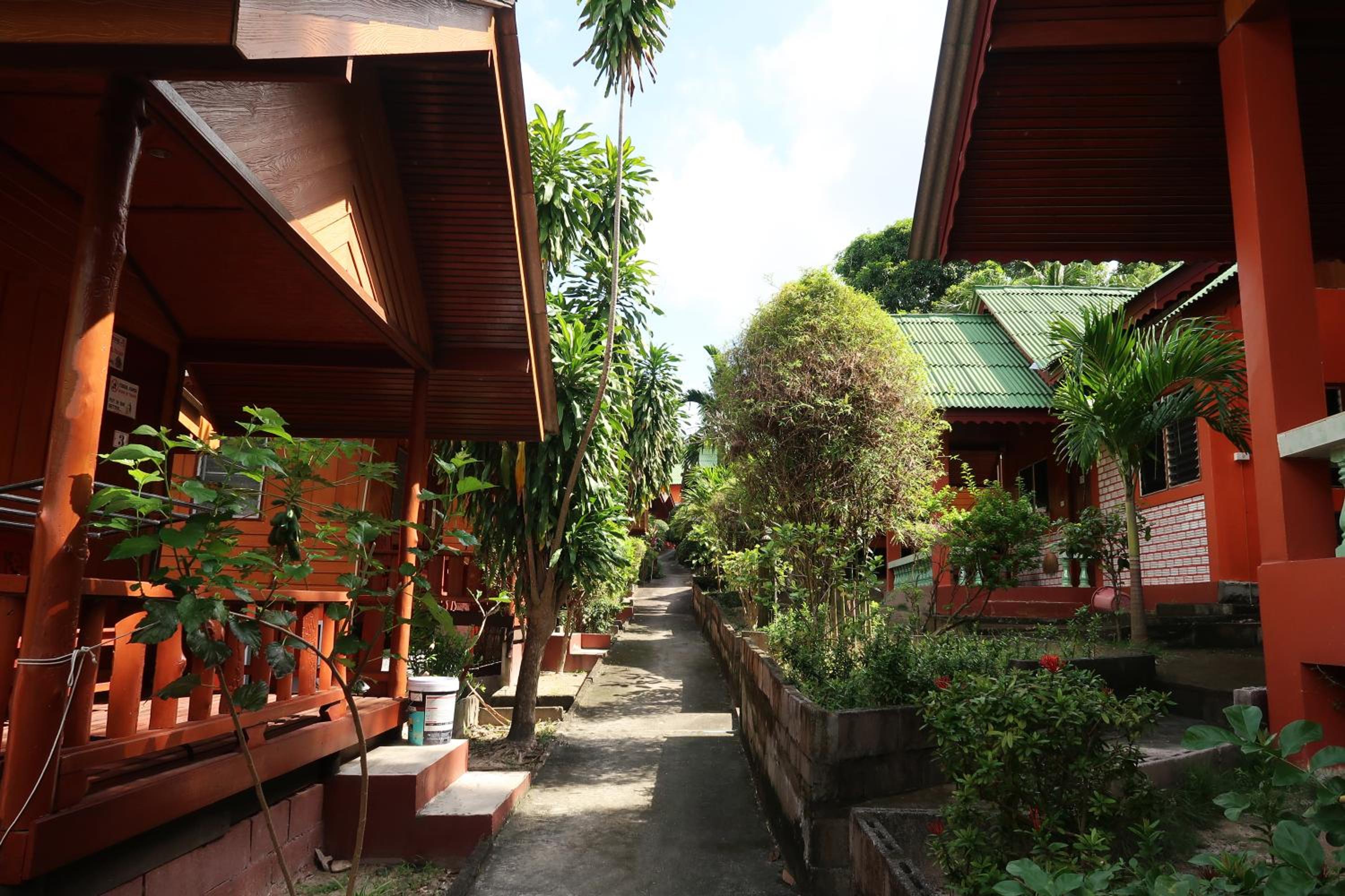 Photo 7