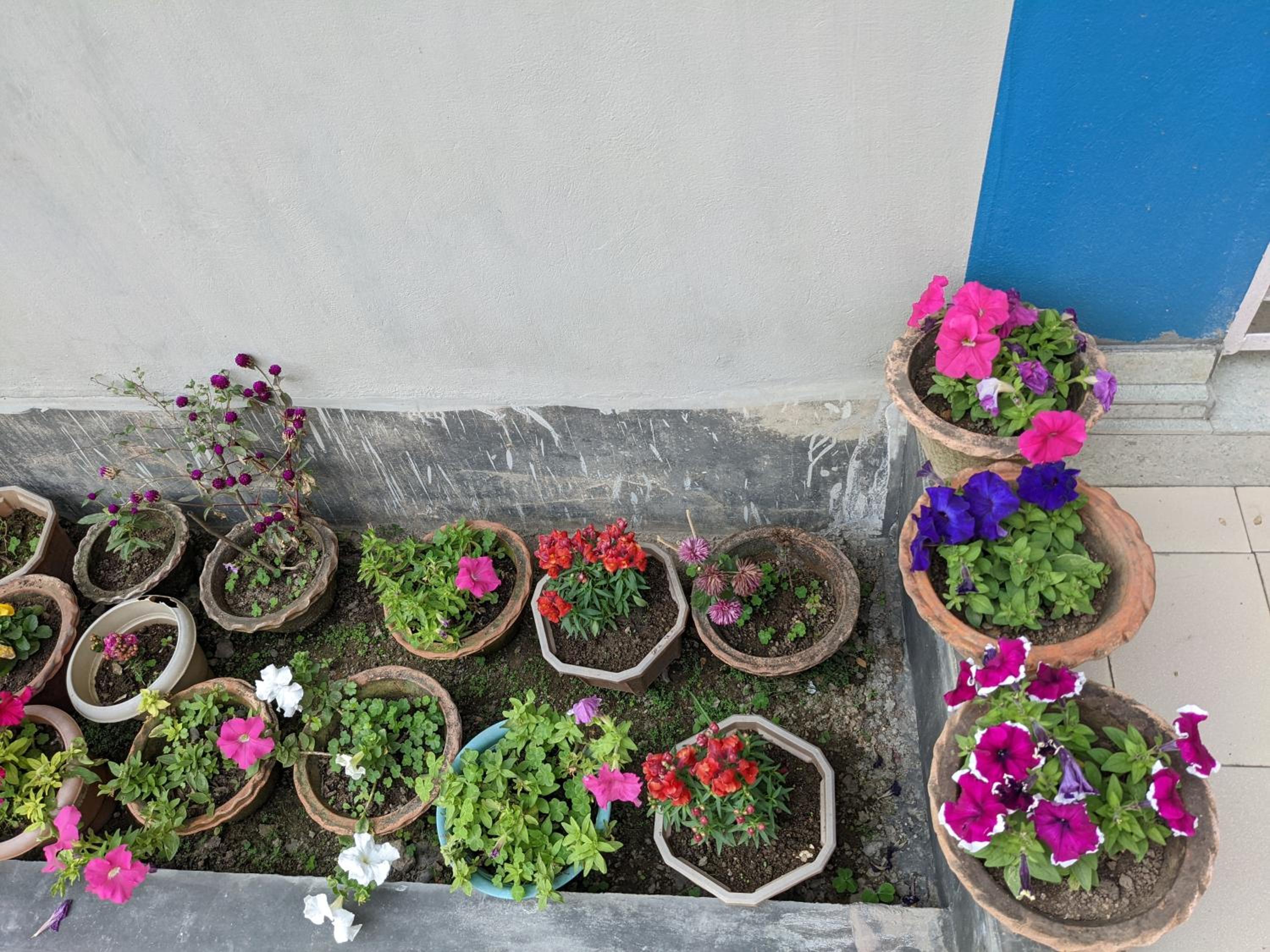 Nilachal Homes view 5