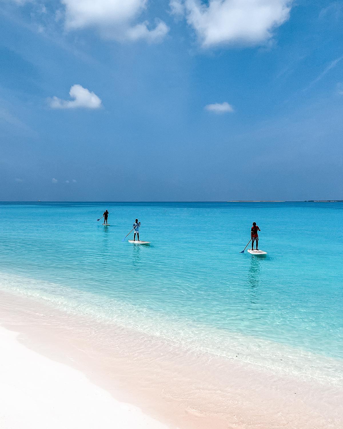 Blue Coral Vashafaru Maldives view 4