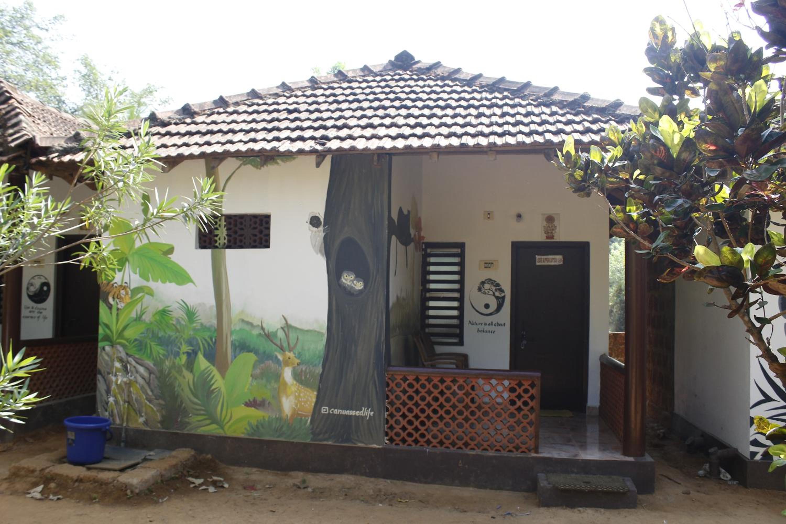 Tusker Tribe Hostel view 3
