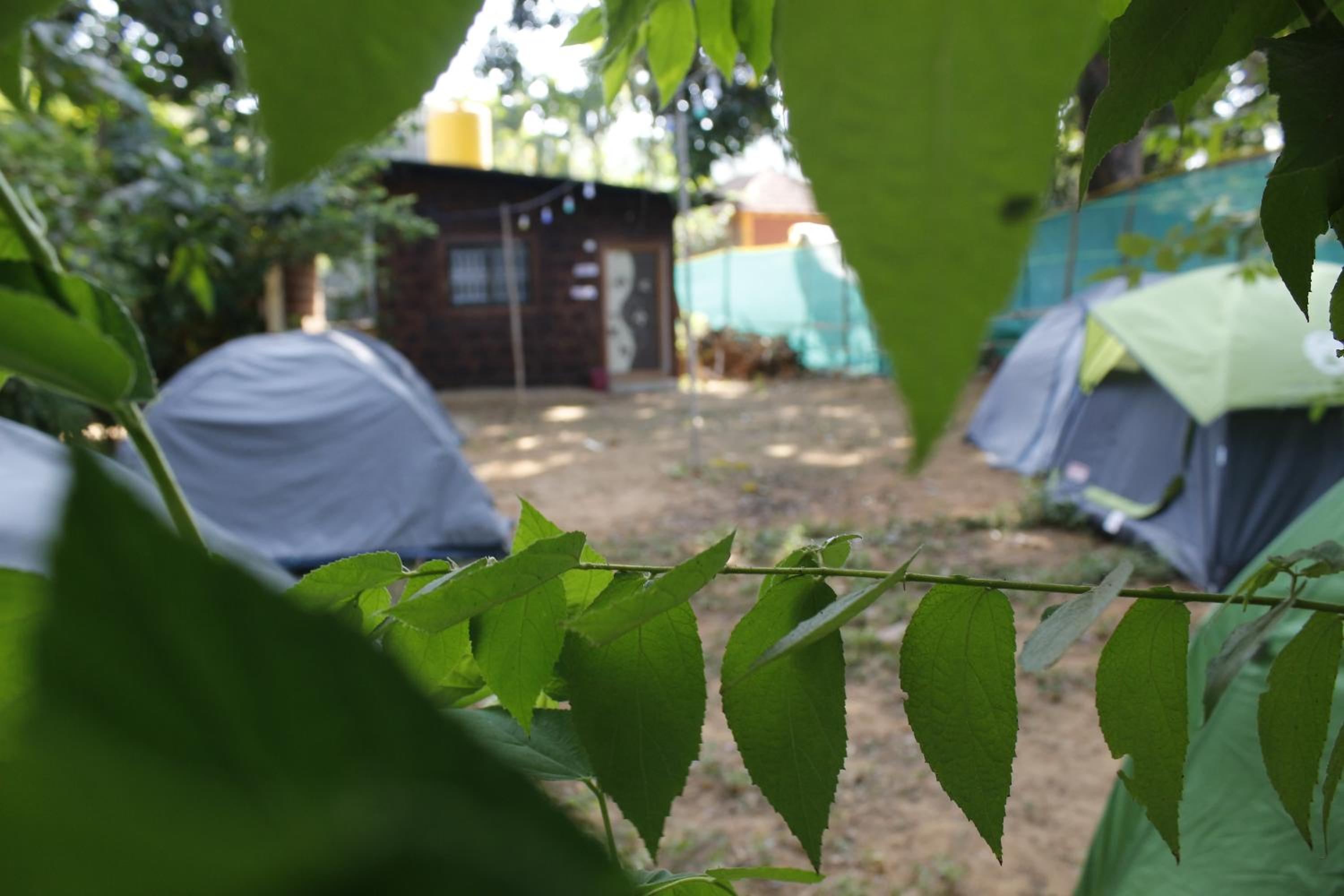 Tusker Tribe Hostel view 4