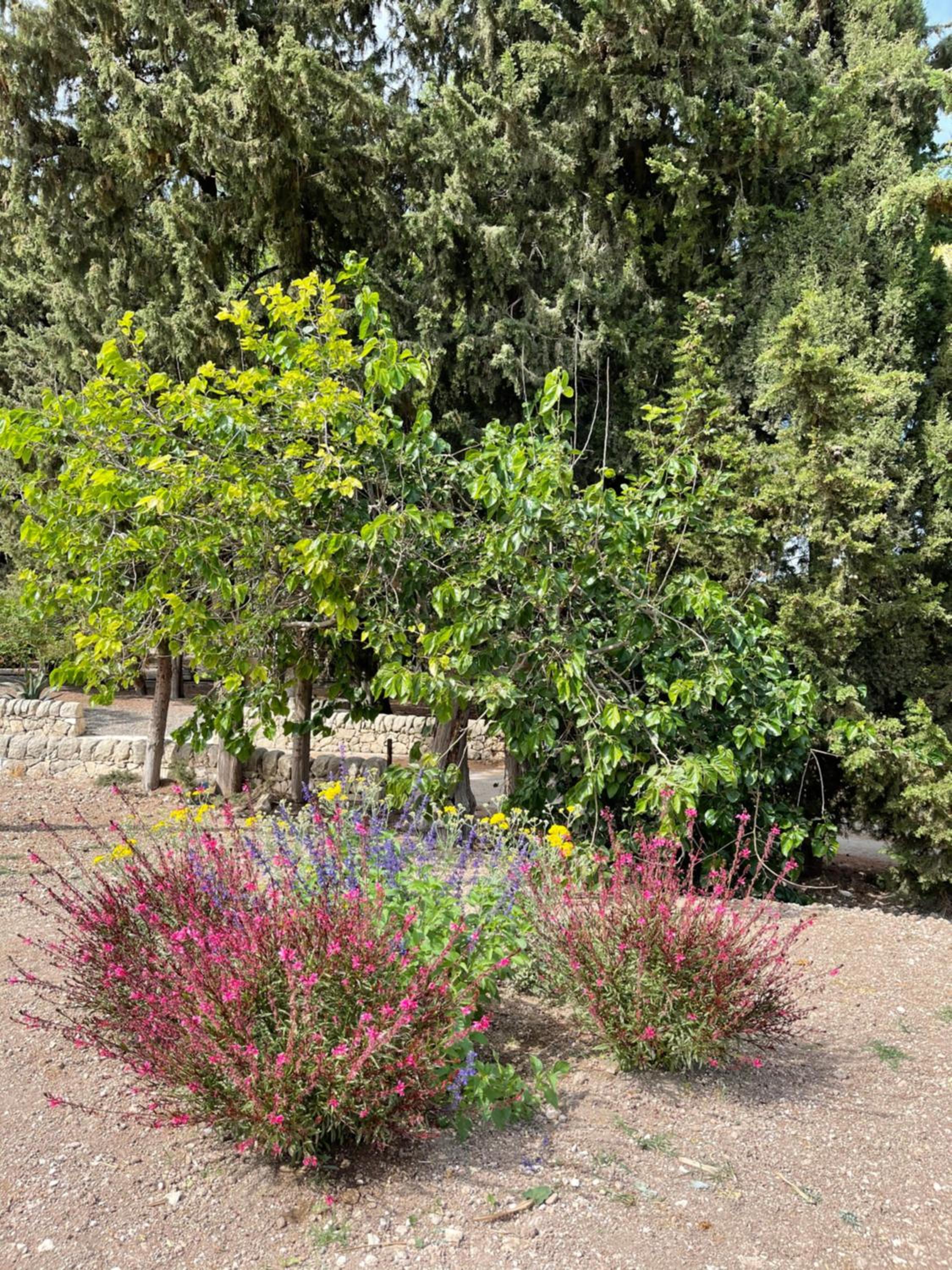 Chiusa Di Carlo Agriturismo