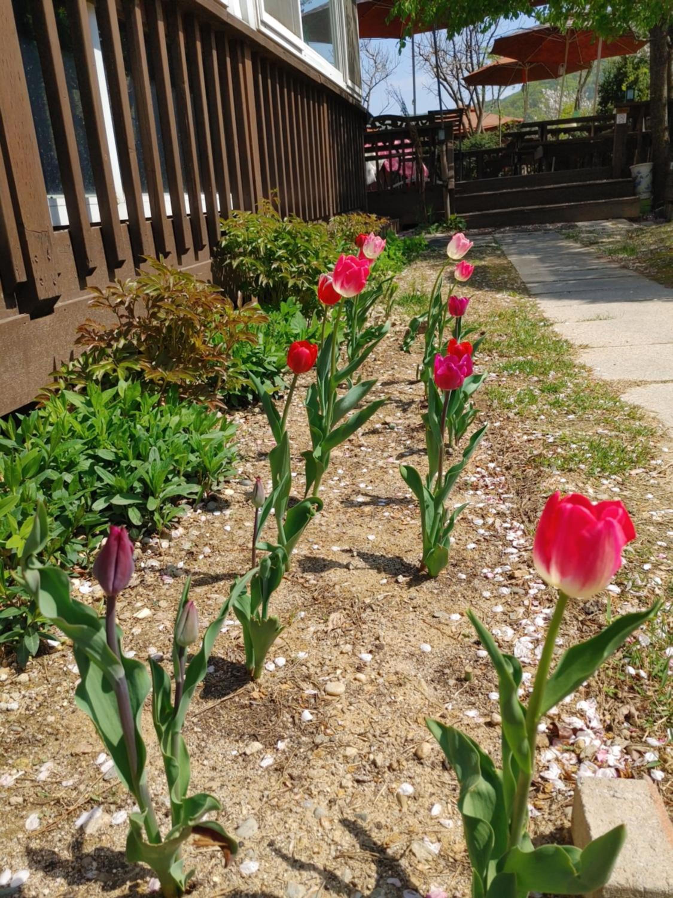Paju Gamaksan Pension