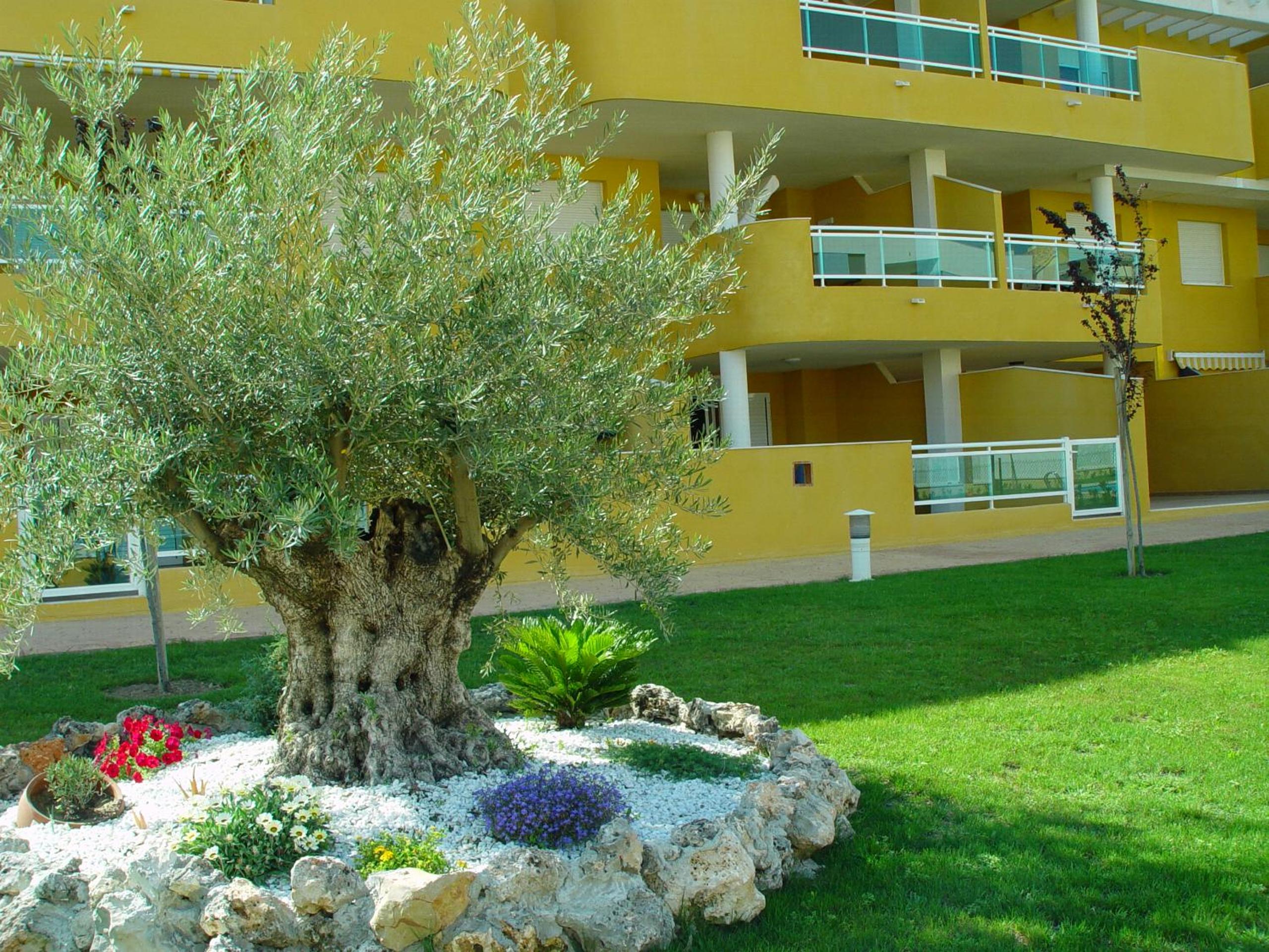 Apartamento Brisas de Denia view 4