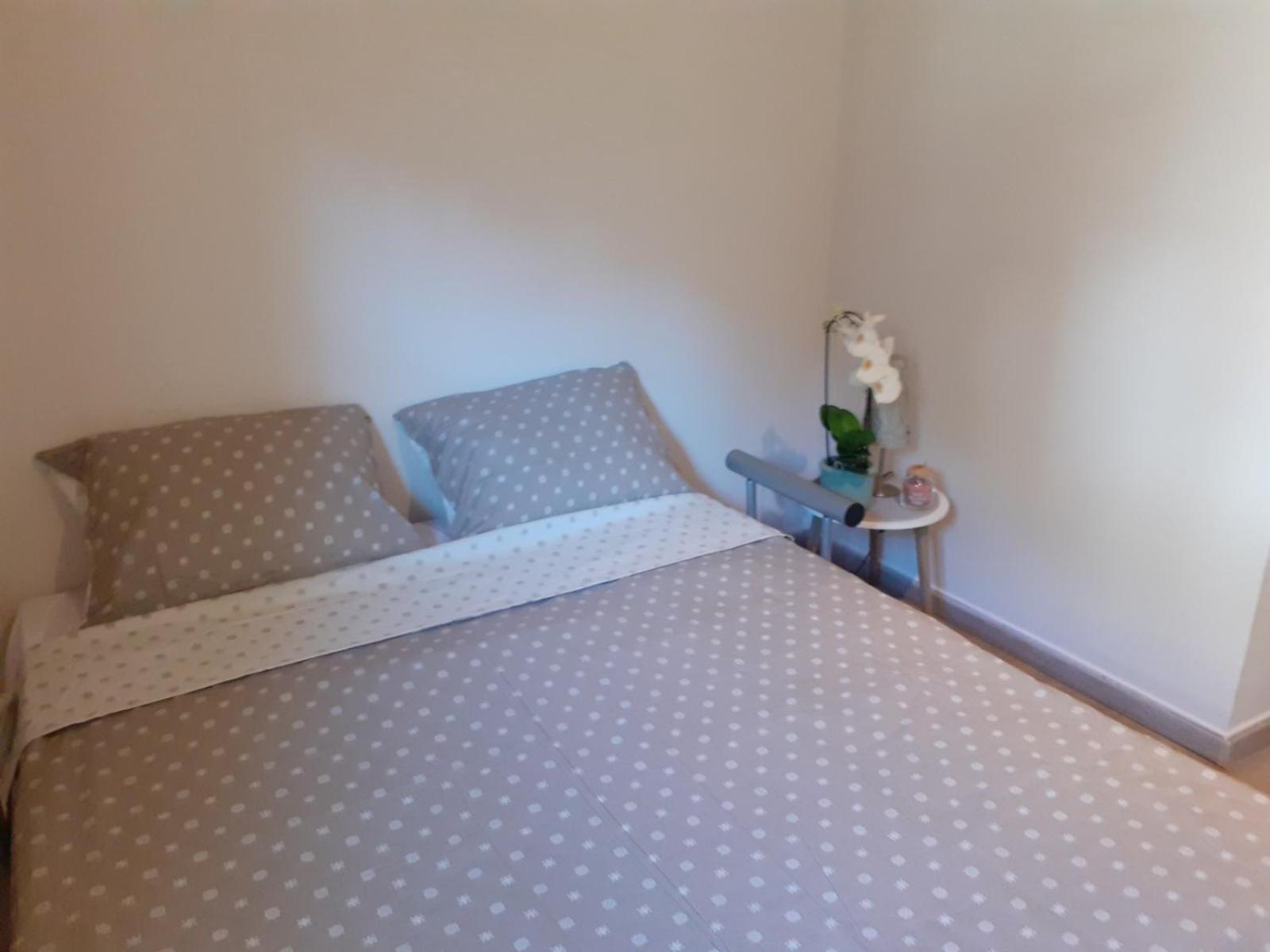 MS Apartments