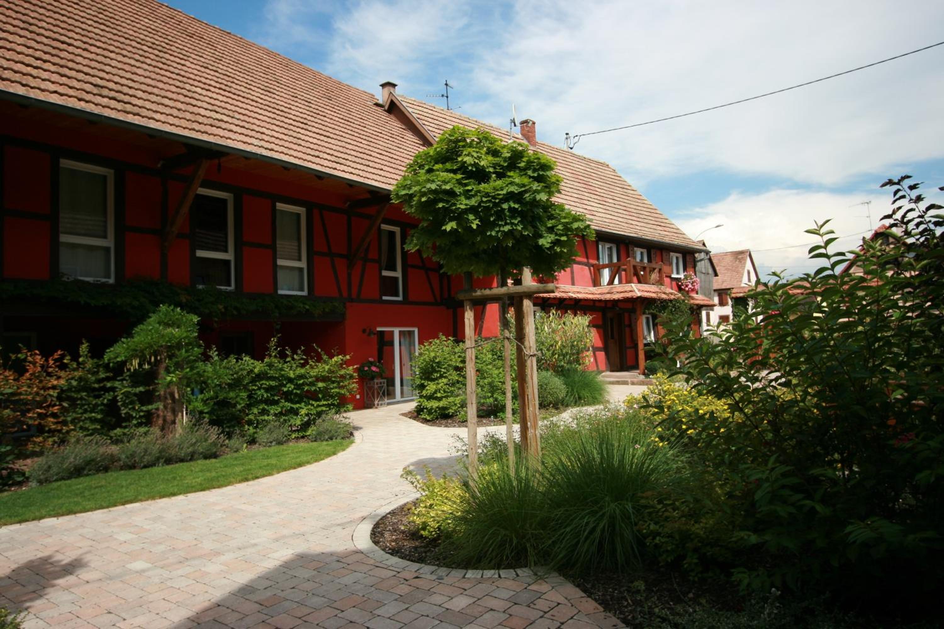 Photo 45